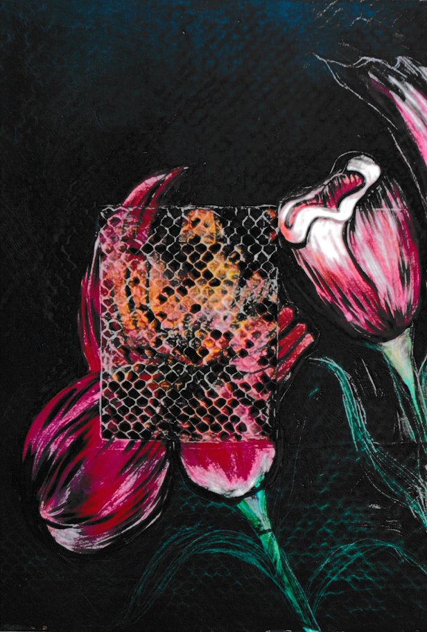 Close-up floral artwork depicting pink blossoms and patterned petals against a dark background.