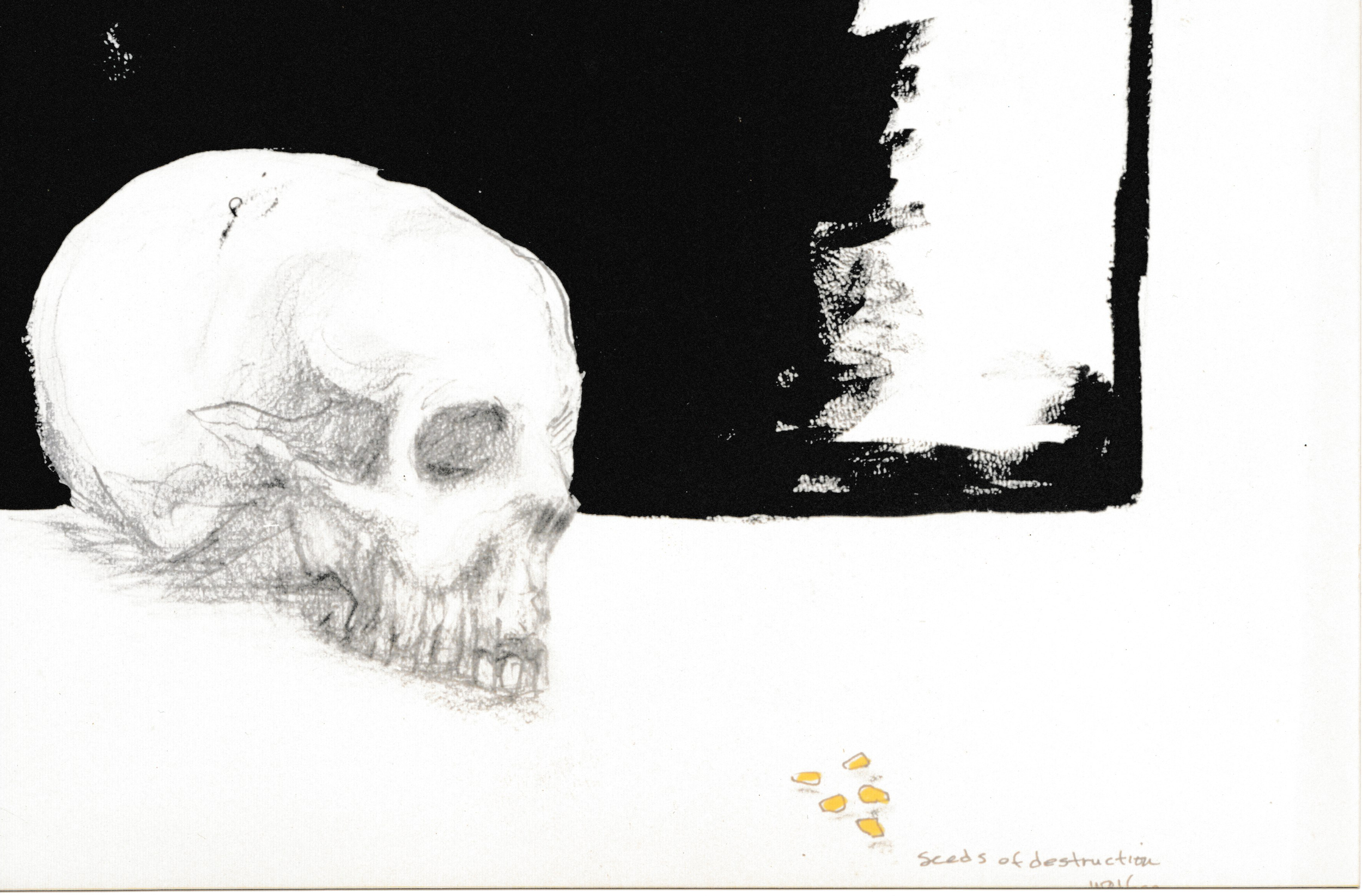 Pencil drawing of a human skull beside a black rectangular form, with several small yellow corn cernals arranged below.