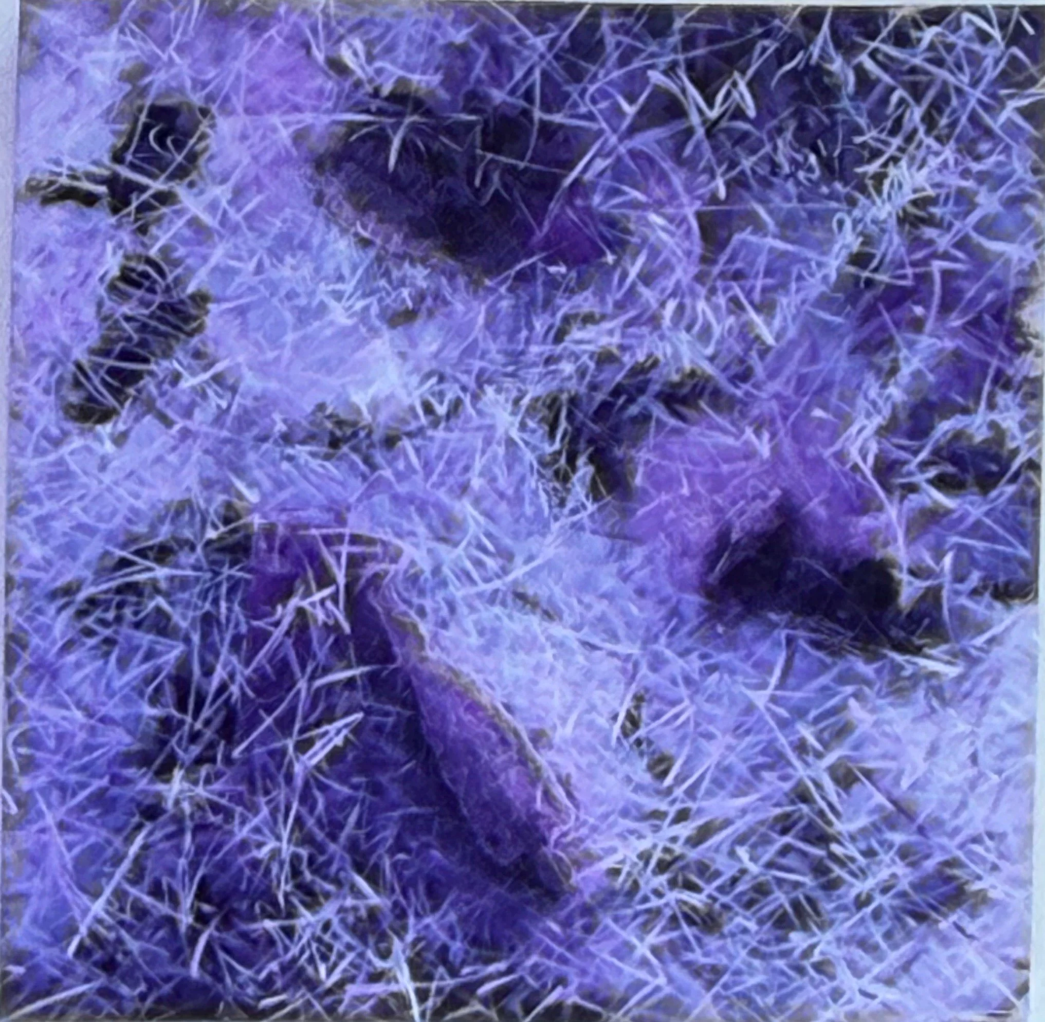 Textured purple abstract composition filled with dense intersecting marks and layered forms.