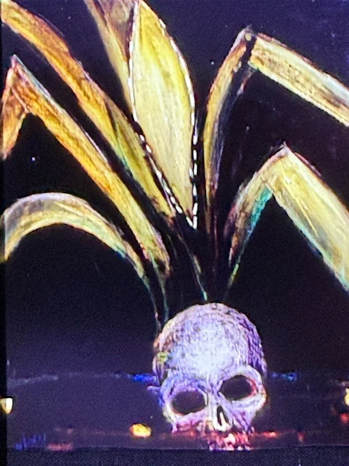 Skull positioned against a dark background, with the leaves of corn plants growing out of the skull. 