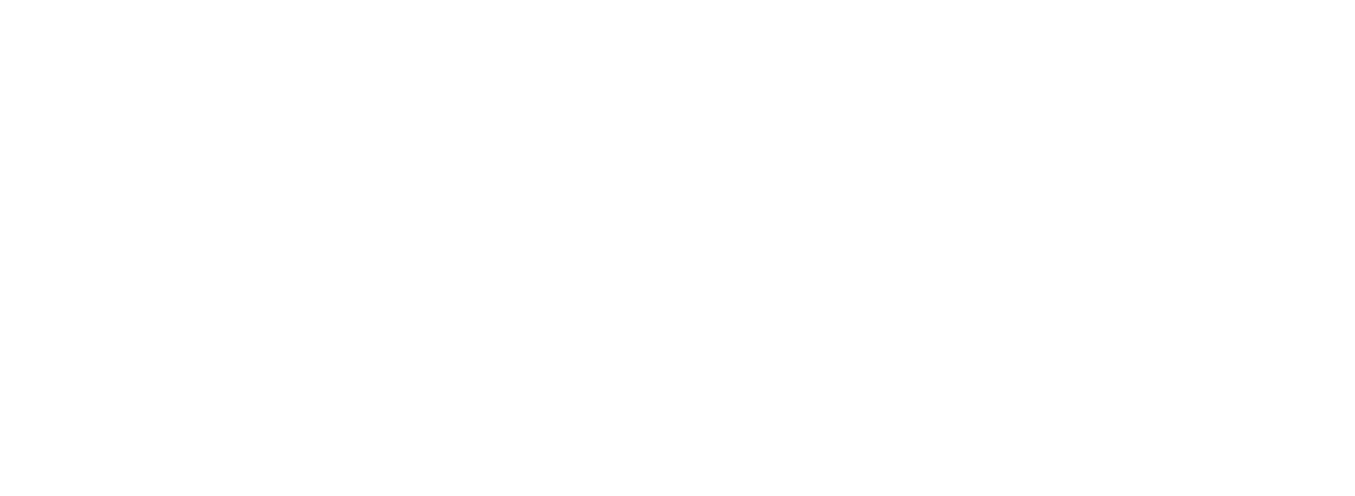 THE BRUCE
