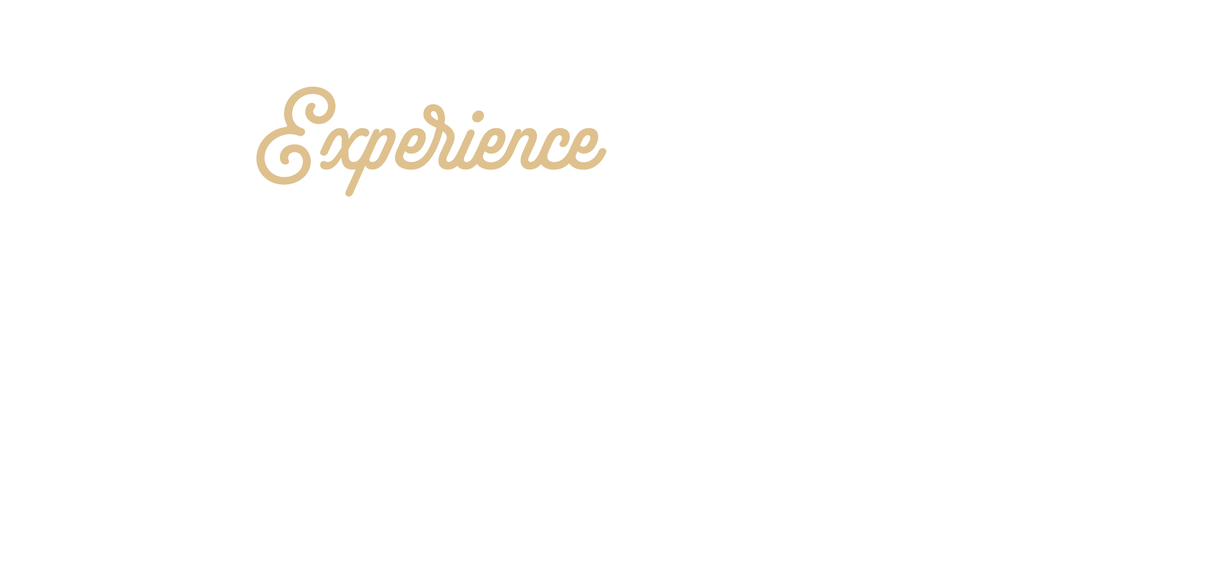 Text graphic that reads 'Experience the Bruce' with 'Experience' in beige cursive and 'THE BRUCE' in large white block letters on a black background.