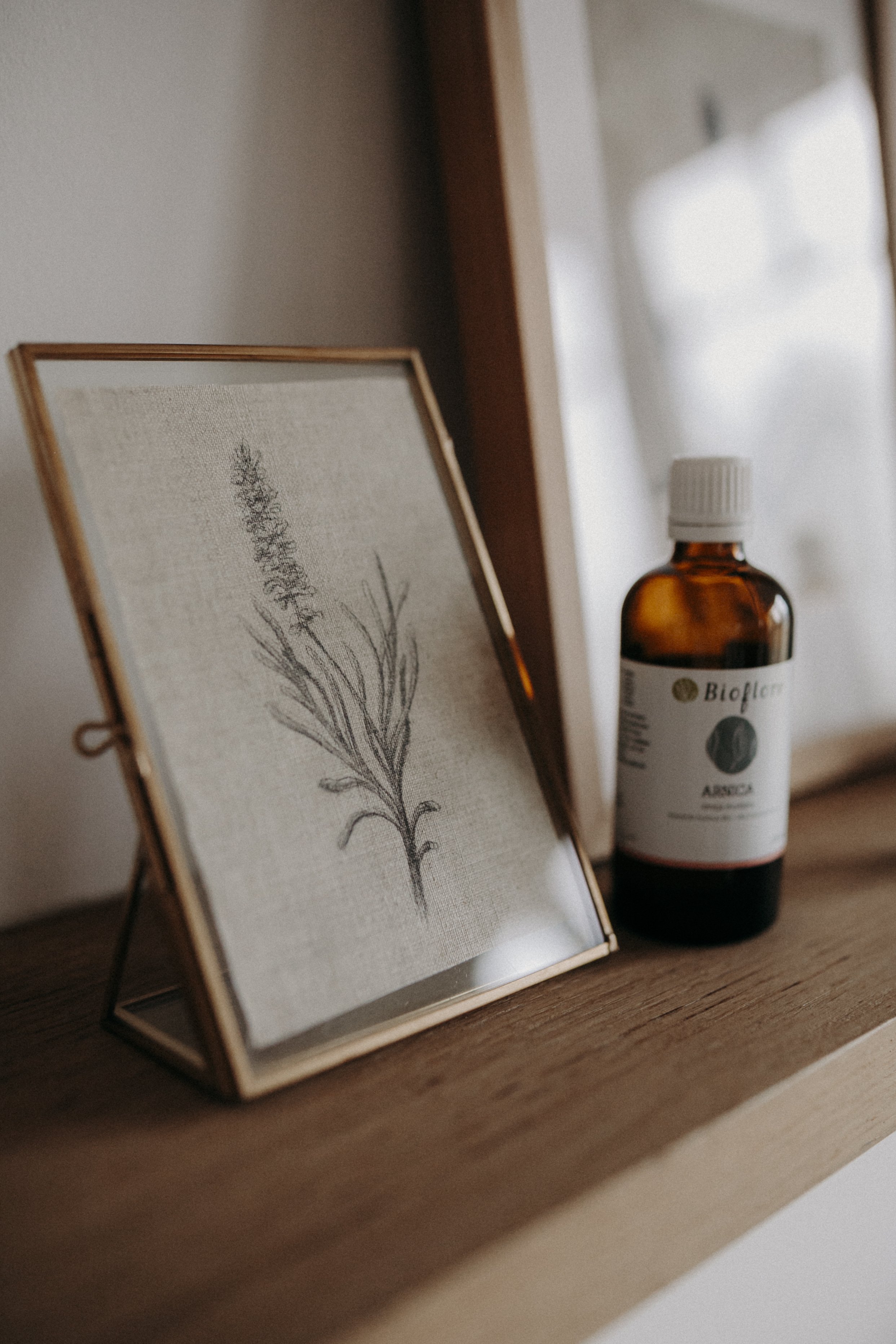 Illustration botanique et huiles essentielles utilisées pour les soins Botanic Flow à Ohey dans le Condroz