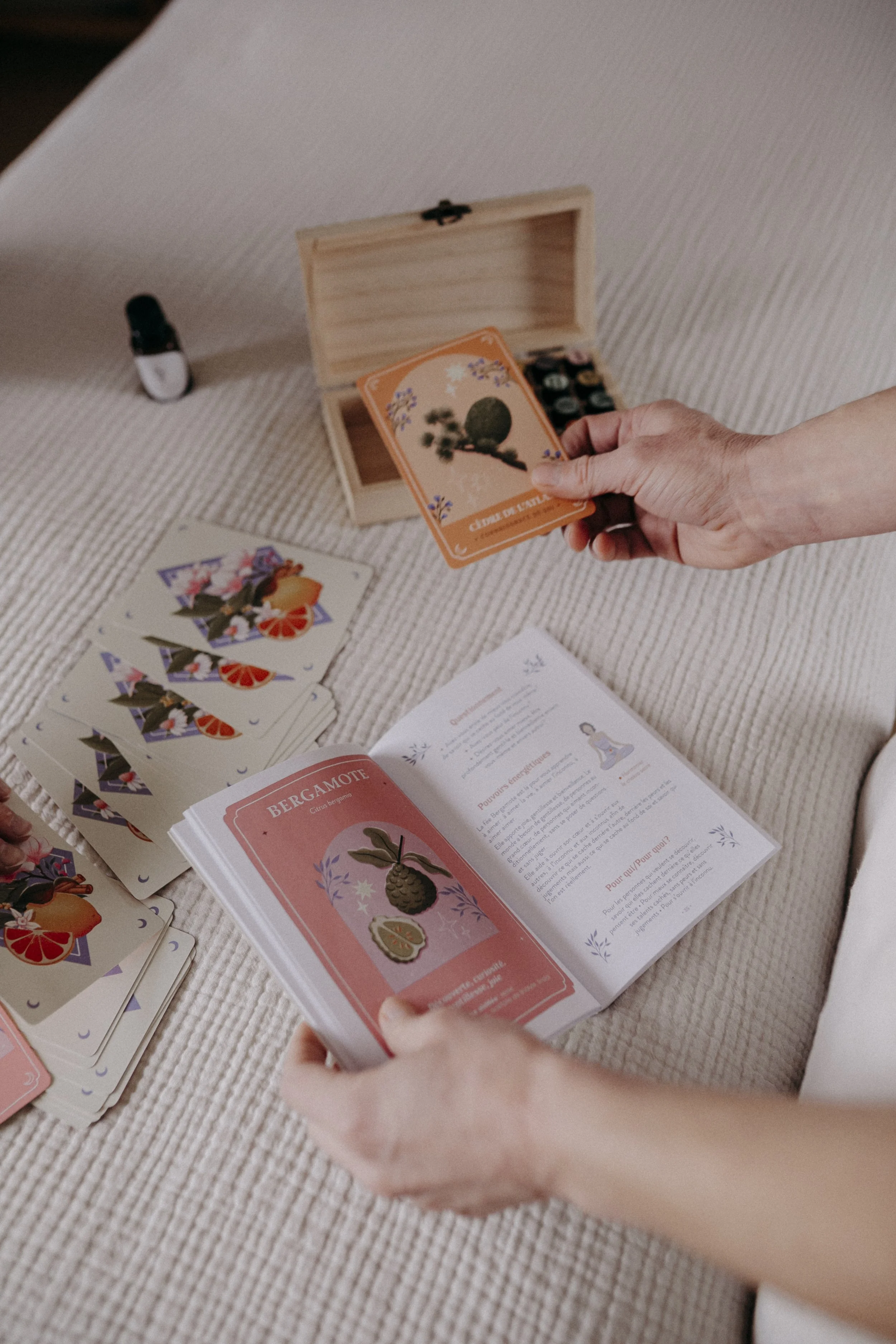 Cartes botaniques utilisées lors des soins bien-être Botanic Flow à Ohey