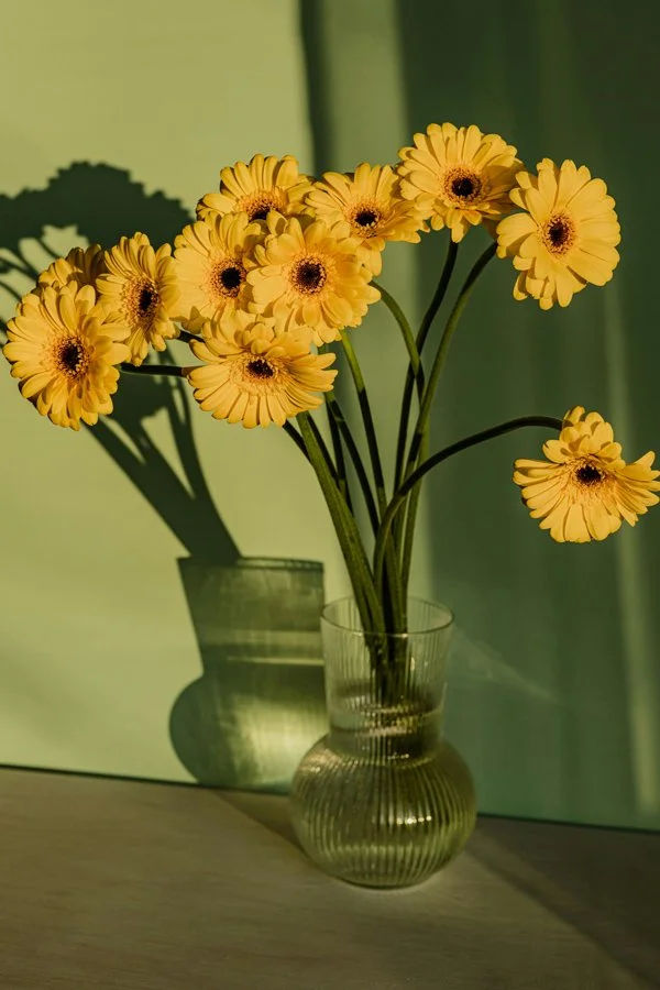 Yellow flowers in a glass vase with shadows cast on green background.