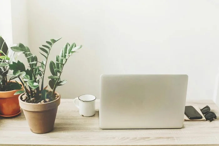A minimalist workspace with a potted plant, a ceramic mug, a closed laptop, a smartphone, and a USB cable on a wooden desk against a plain white wall.
