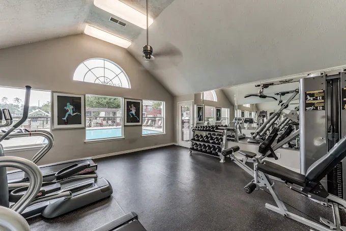 Empty home gym with treadmills, weight rack, and exercise equipment near large windows and mirrored wall