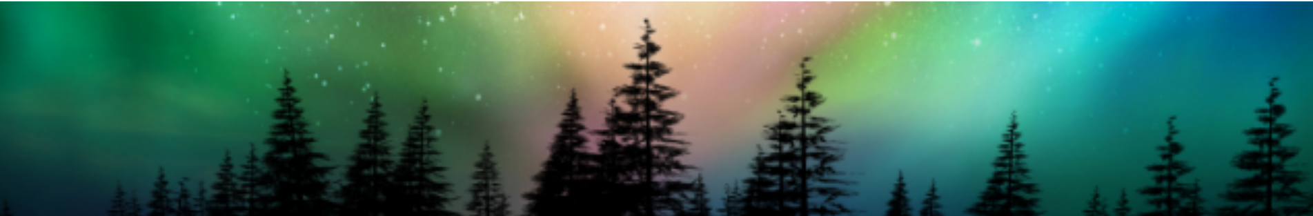 A Solstice Reflection