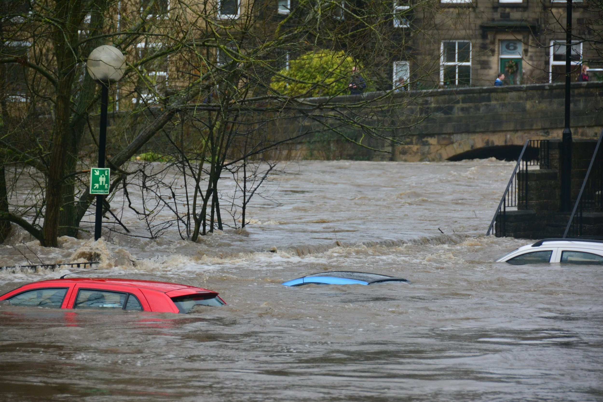 Floodwaters submerge parked cars and a street, with a bridge and buildings in the background. A green emergency assembly sign is visible on a tree.