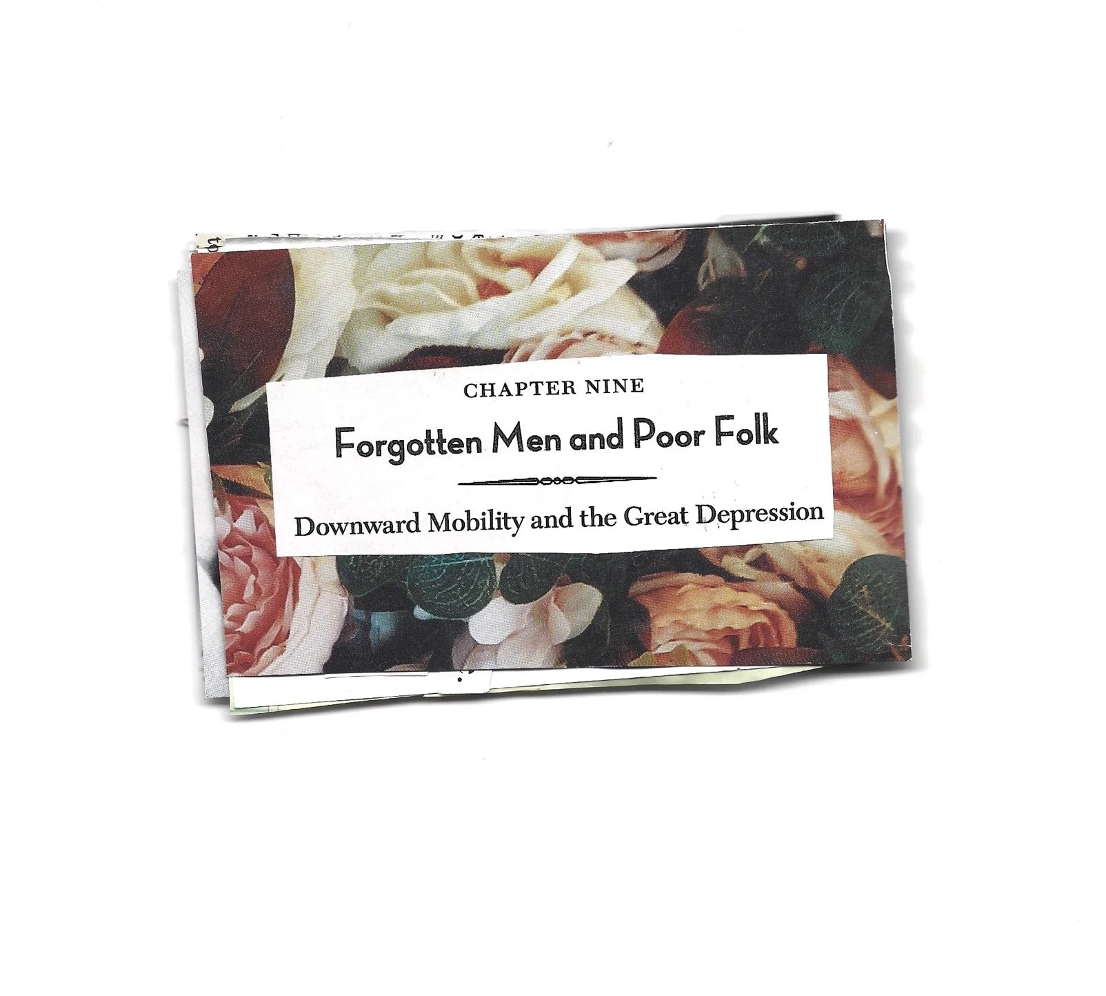 Stack of paperback books with floral covers, the visible title is 'Chapter Nine: Forgotten Men and Poor Folk, Downward Mobility and the Great Depression.'