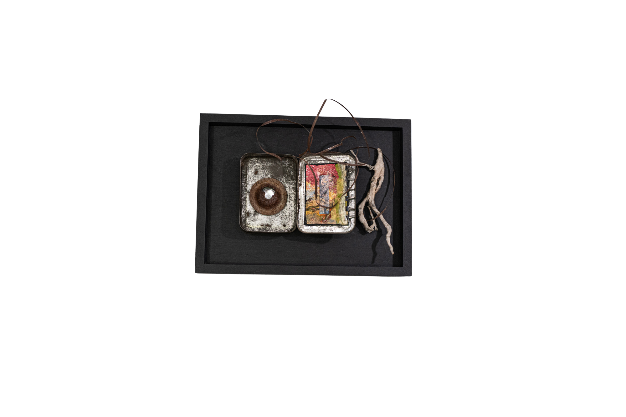 Ingredients - Concept of not knowing what is inside products. Tin box, small painting, root, wire, steel, glass gem. 9” x 12” x 1.5”  2009