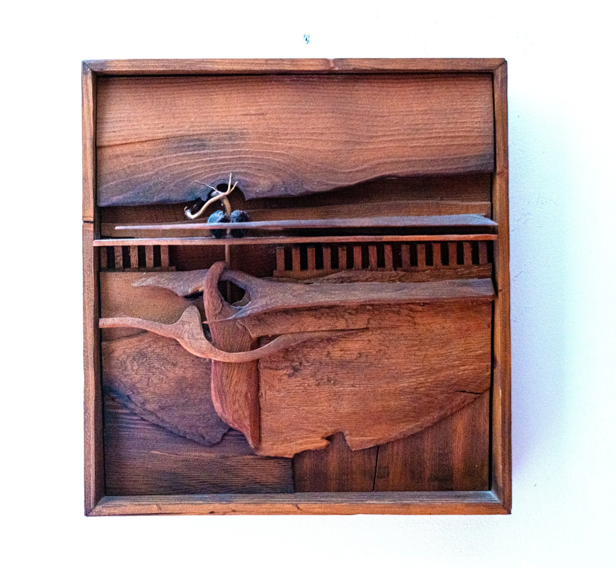Woodscape - Landscape inspired with horizon line. Wood, avocado seed and stem. 18” x 15” x 3”. 1981