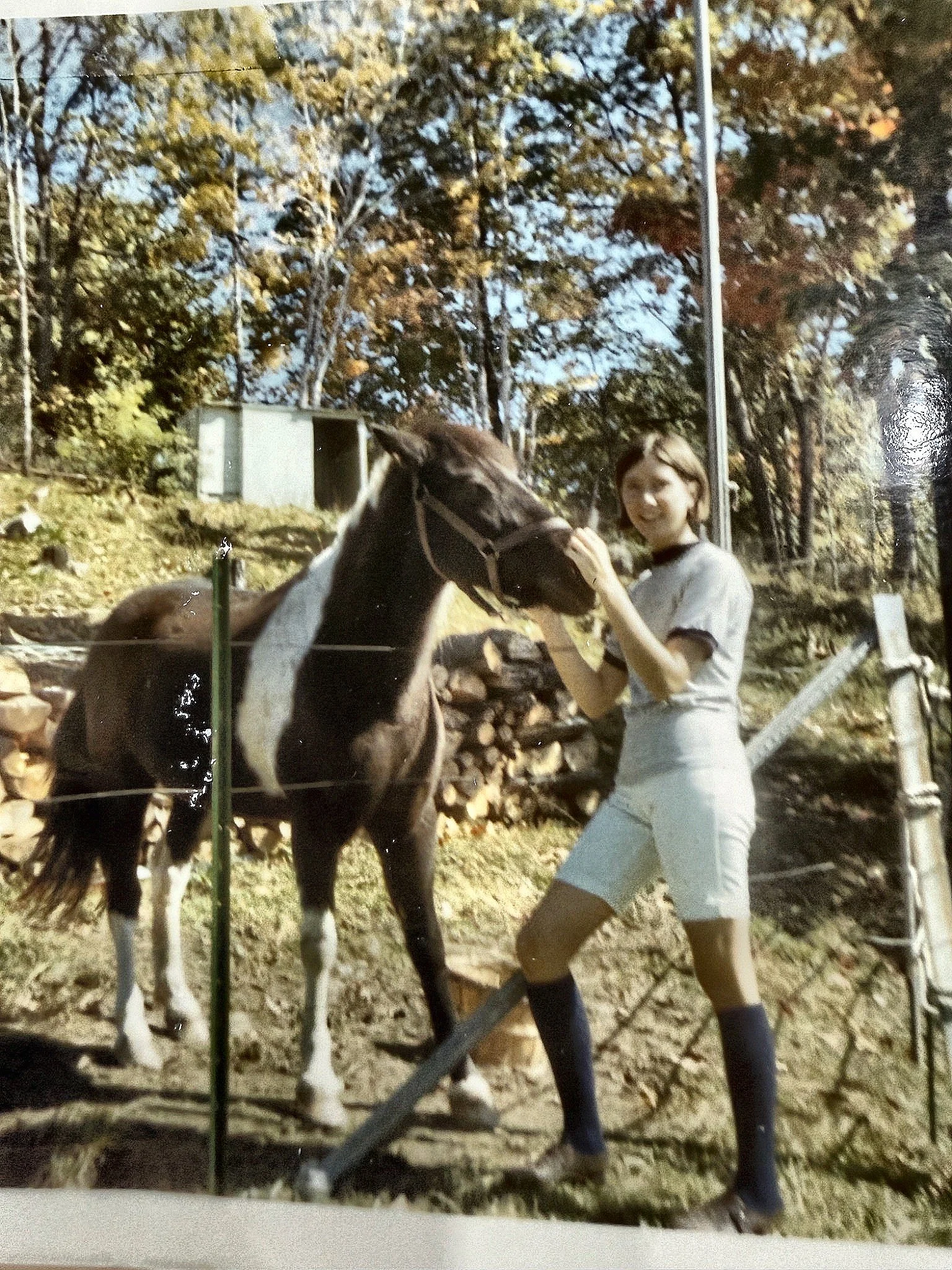 sharpened_horse_photo2.jpg