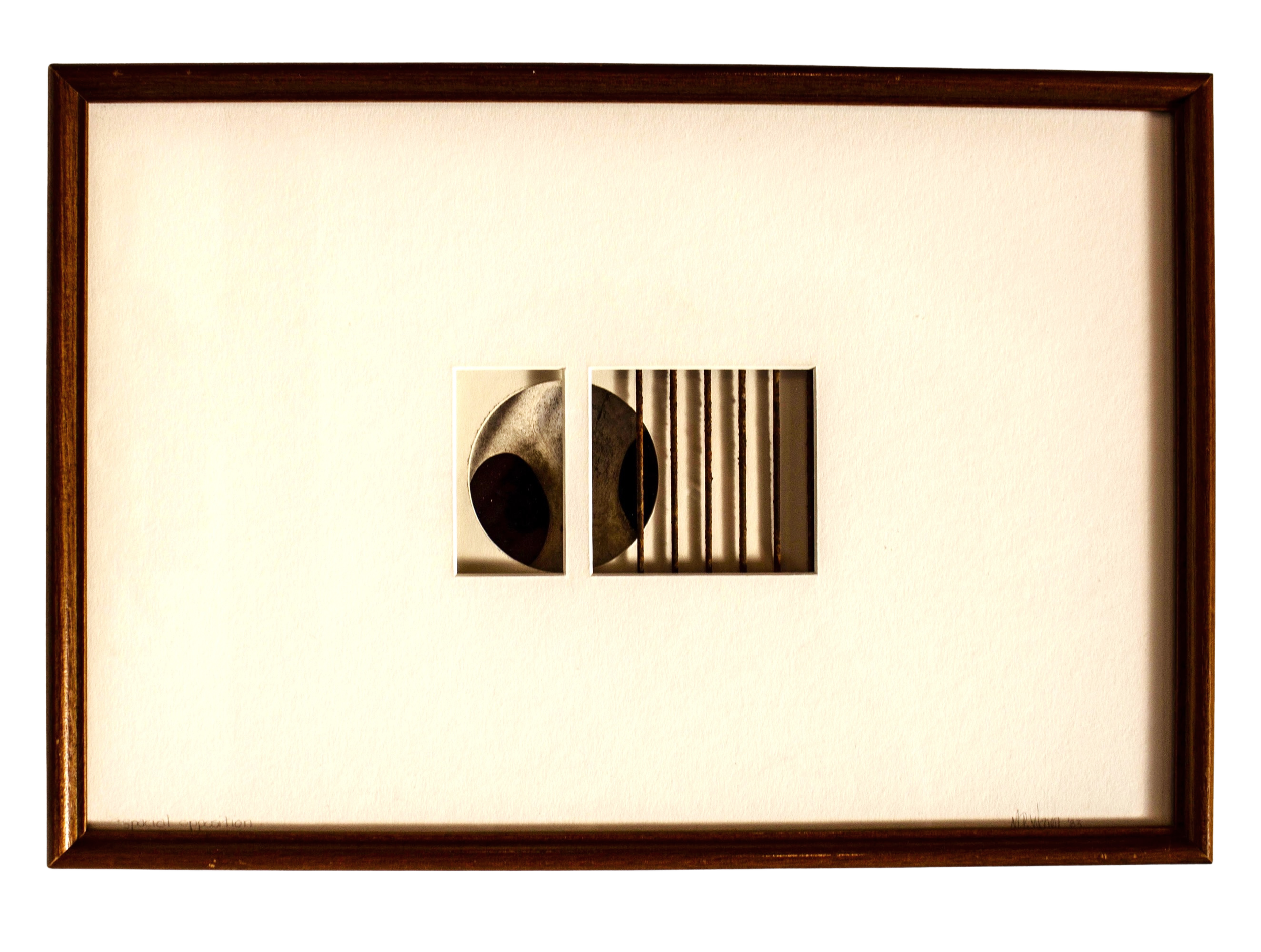 Spatial Opposition  - Concept of showing deep space within a confined frame using disparate objects. Cow bone, steel, matt board. 16” x 24” x 3” 1990. 