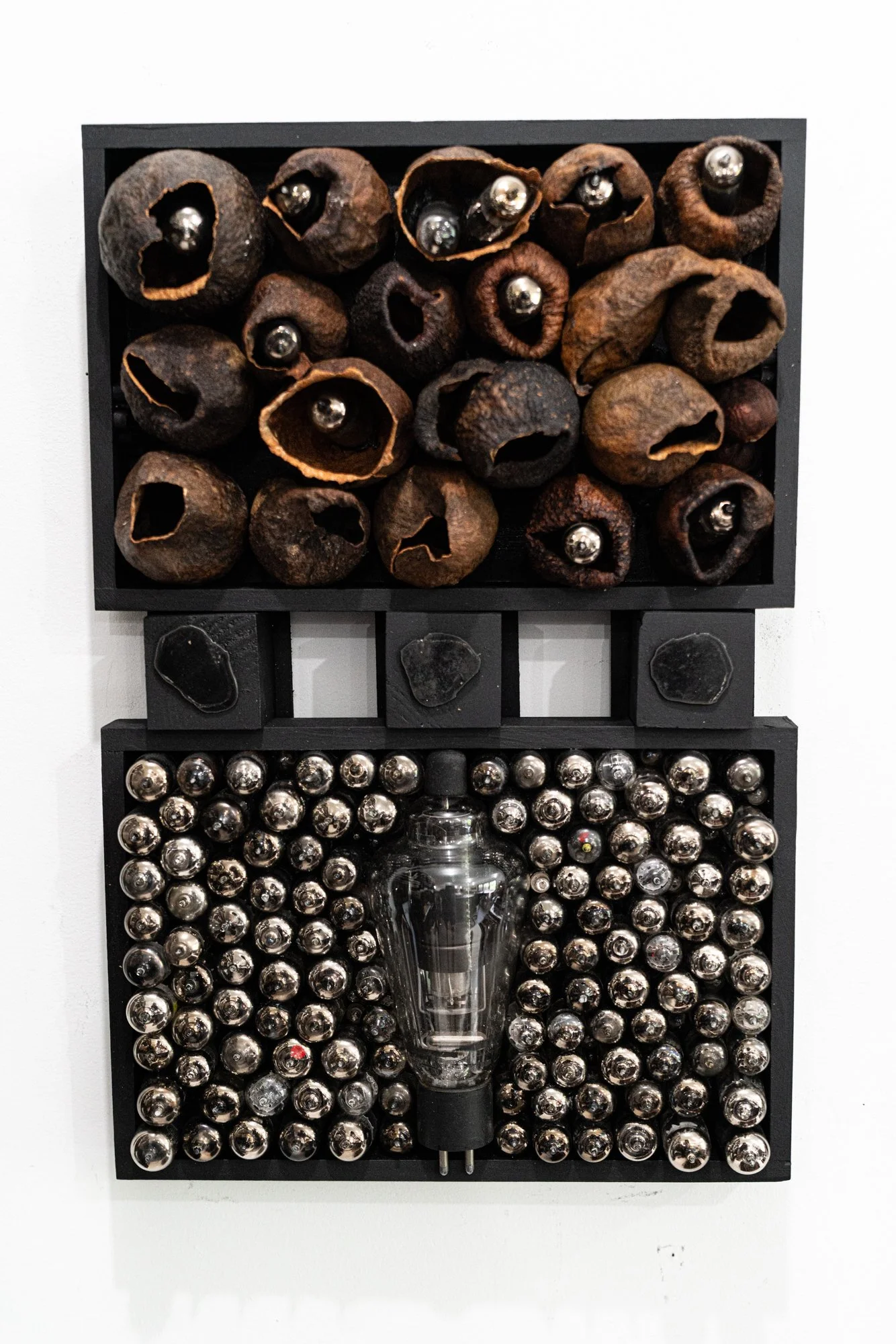 Influencers - Inspired by Social media and the far reaching effect it has on the population. Vintage tv tubes and light bulb, avocado skins, wood. 18.25” x 12” x 4”. 2024-25