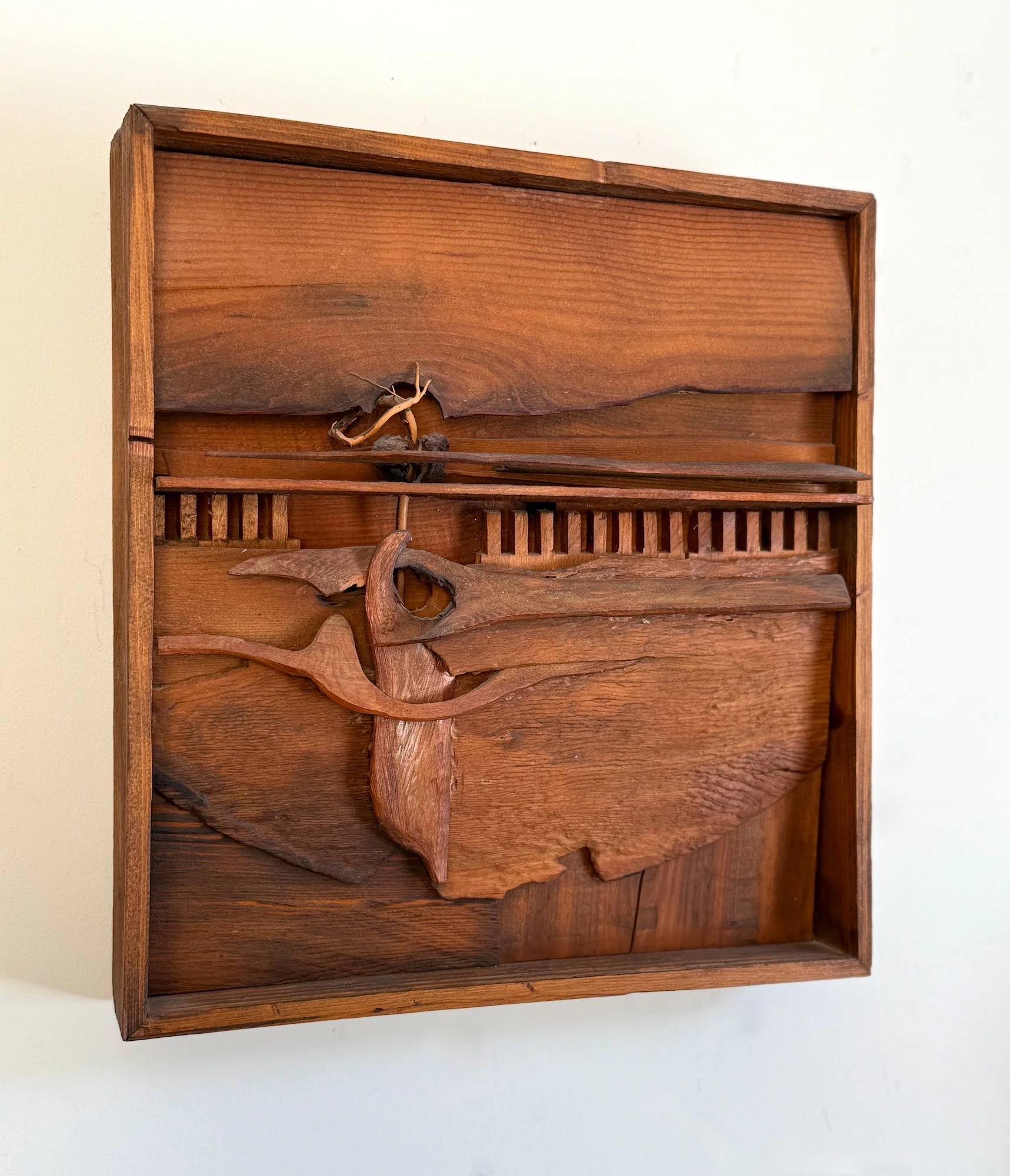 Woodscape - Landscape inspired with horizon line. Wood, avocado seed and stem. 18” x 15” x 3”. 1981