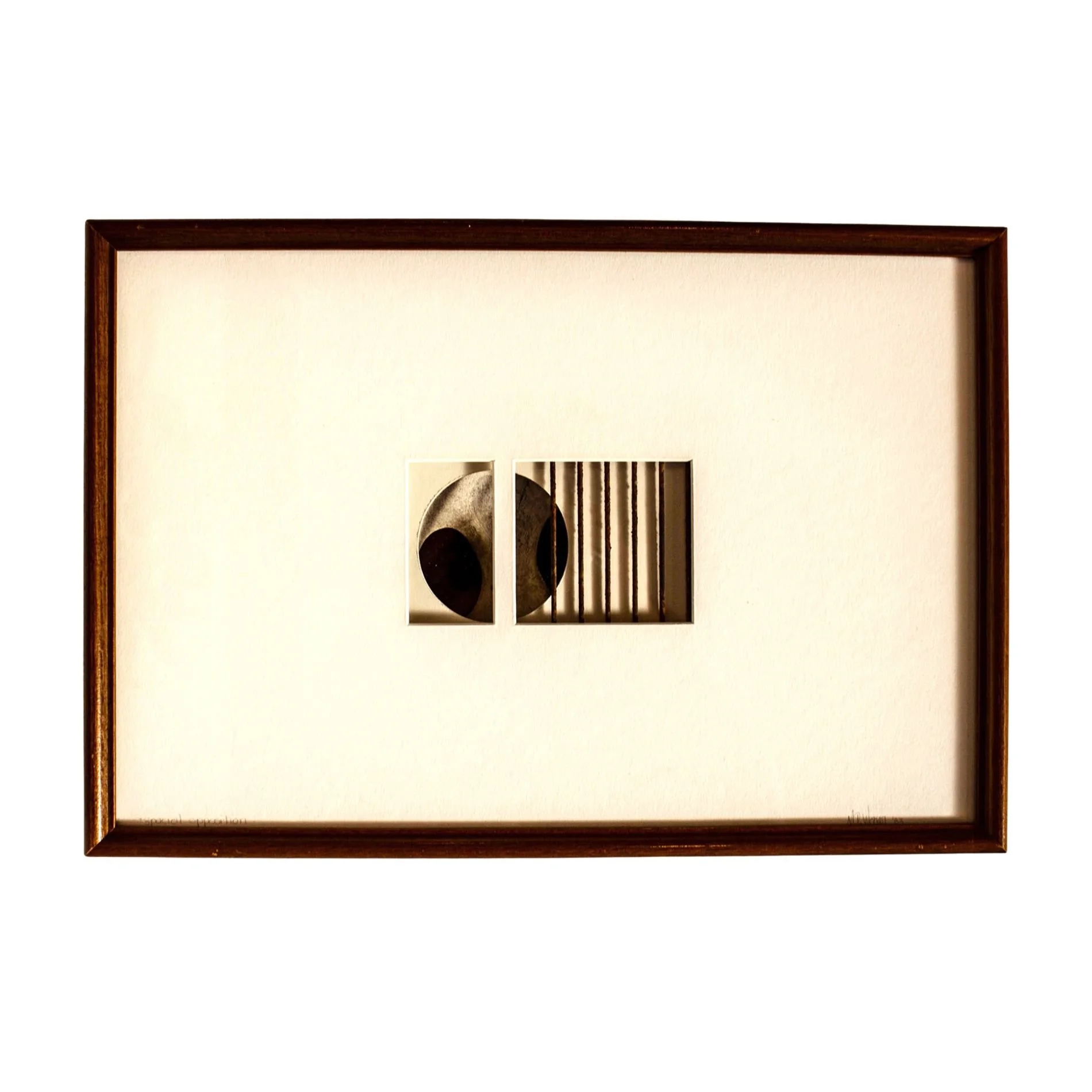 Spatial Opposition  - Concept of showing deep space within a confined frame using disparate objects. Cow bone, steel, matt board. 16” x 24” x 3” 1990. 