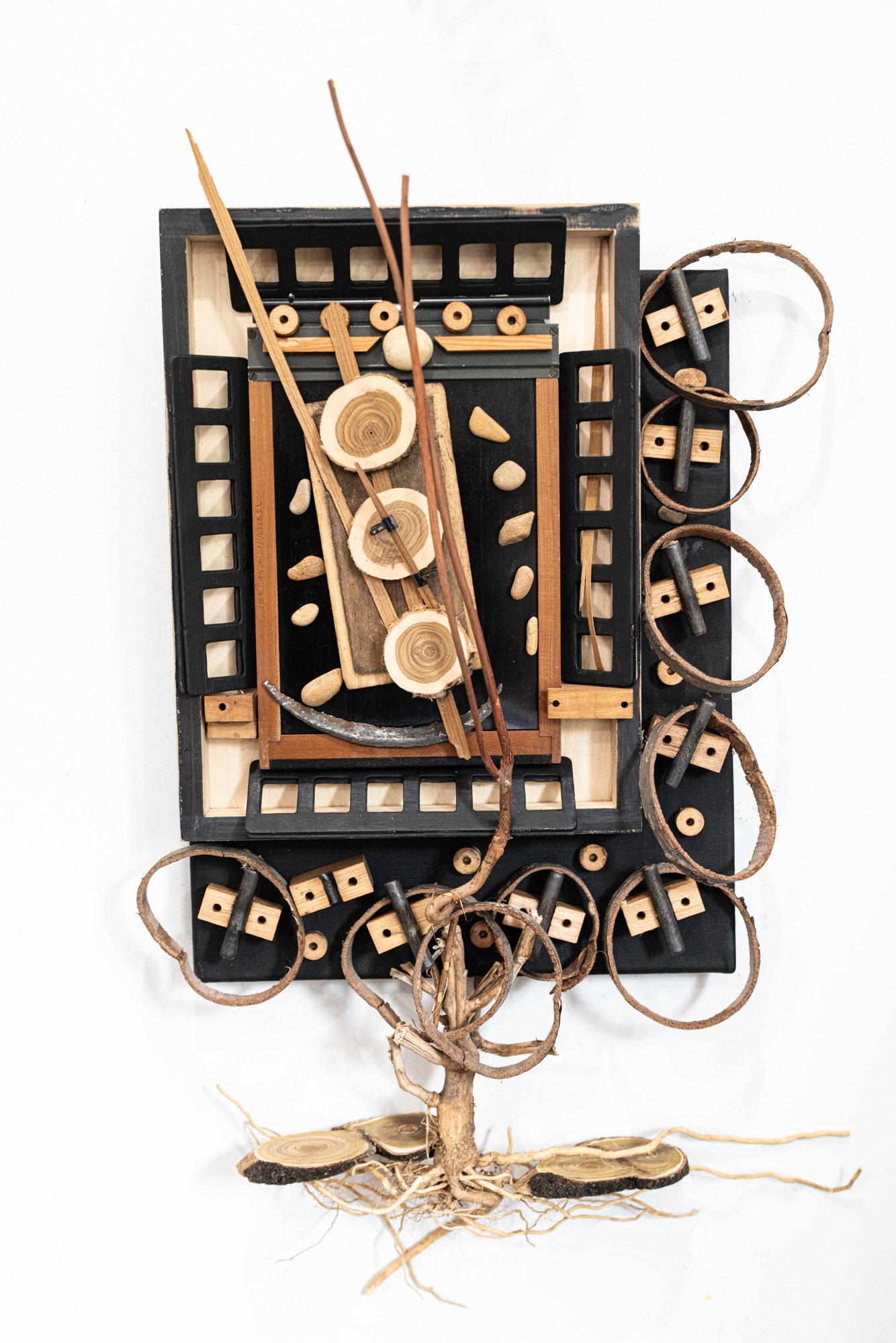 Root Bound - Inspired by growth, overgrowth and decay. Wood slices, roots, wood blocks, rings of bark, cardboard. 22” x 14’ x 3”. 2024