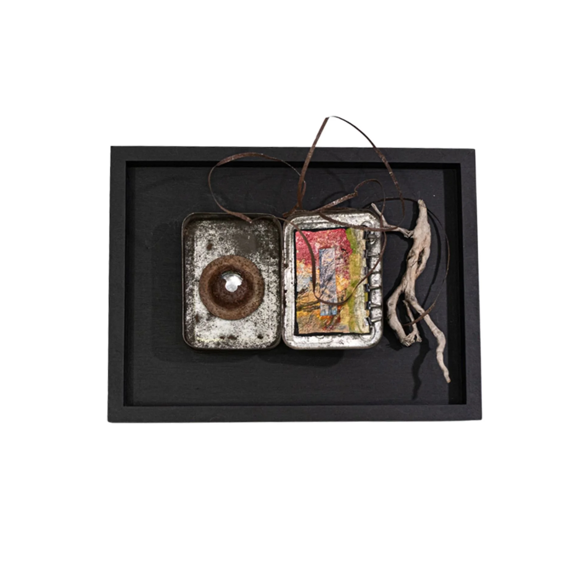 Ingredients - Concept of not knowing what is inside products. Tin box, small painting, root, wire, steel, glass gem. 9” x 12” x 1.5”  2009