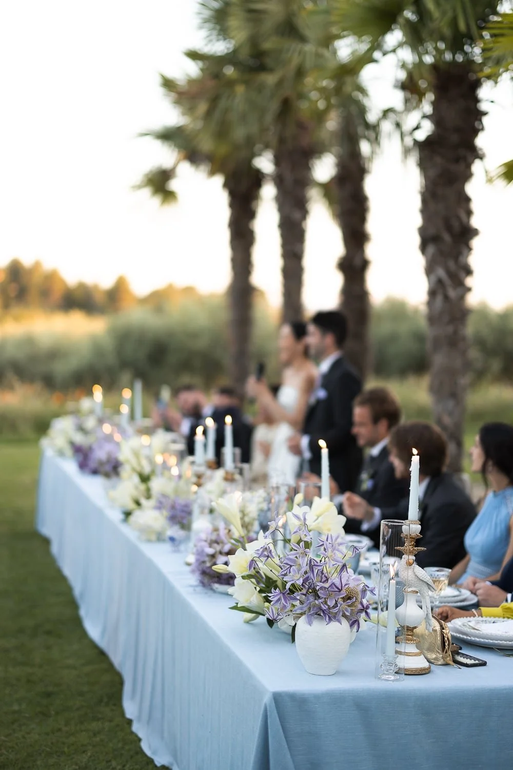 Heartfelt speech during an outdoor dinner in Provence, surrounded by timeless elegance and natural charm