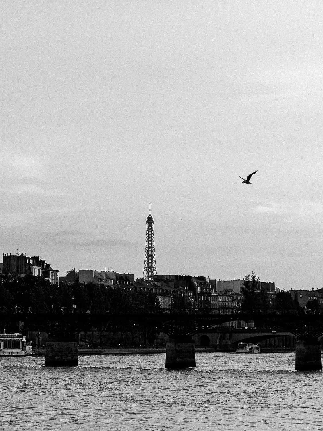 Black and white photo of the Eiffel Tower in Paris, viewed from a distance over the Seine River. A silhouette of a bird is flying in the sky.