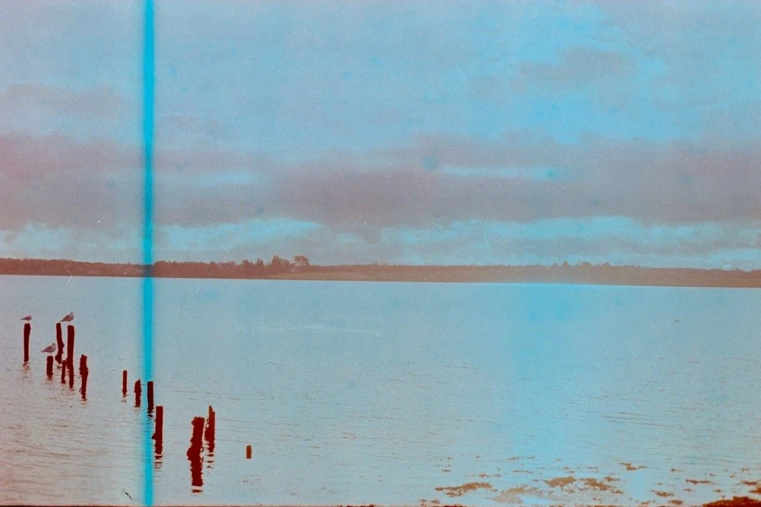 Green Around the Gills