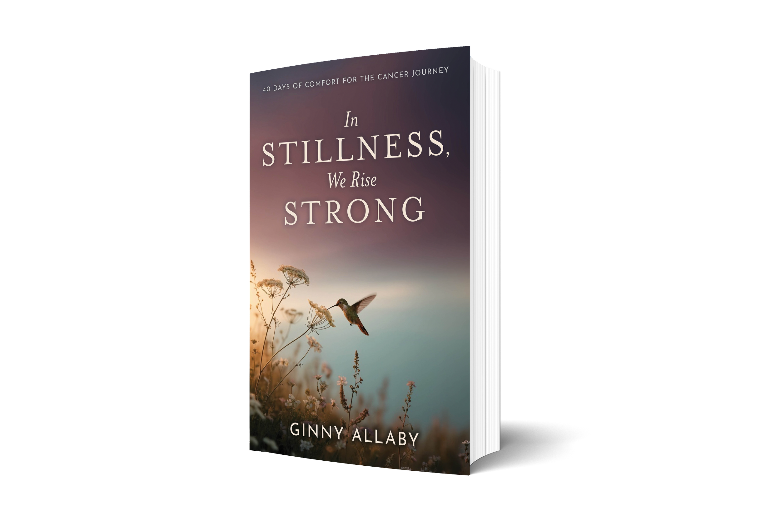 In_Stillness__We_Rise_Strong_3D.png