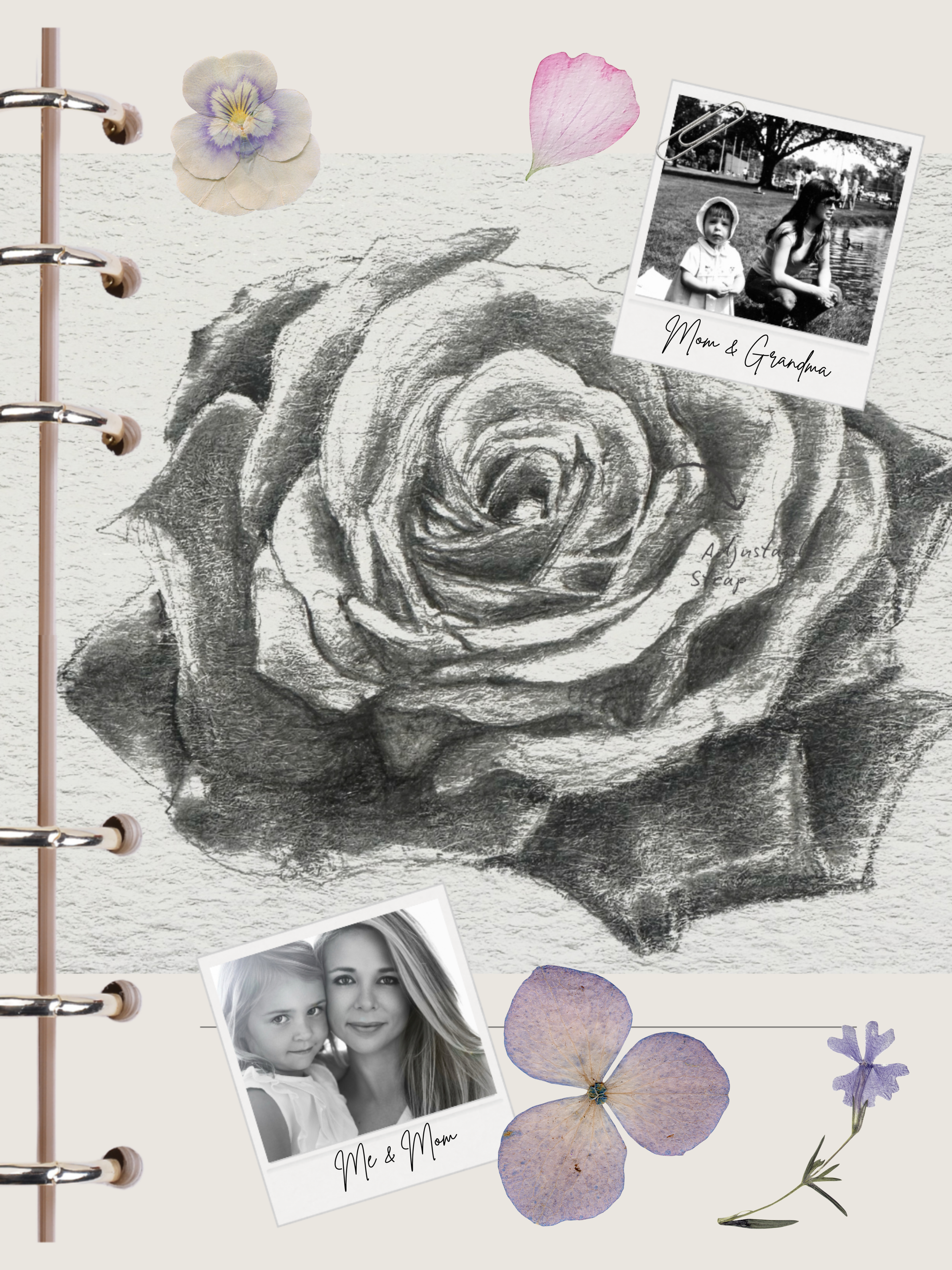 A sketch of a rose in black and white on textured paper, with two vintage-style photographs of a woman and a young girl, and pressed hydrangea flowers and petals.