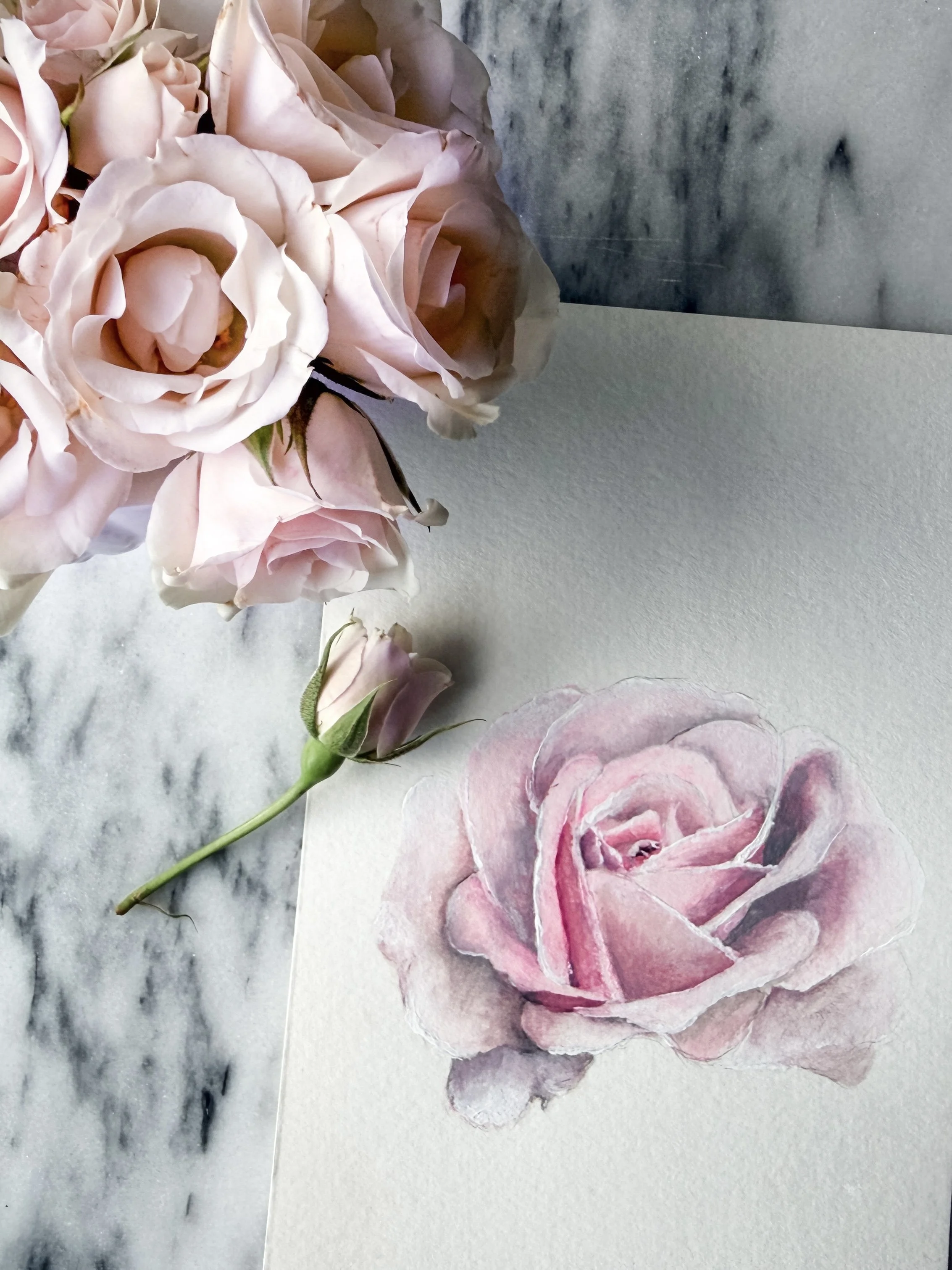 A bunch of pink roses, some in a drawing on paper and others real, placed on a marble surface with a gray wall in the background.