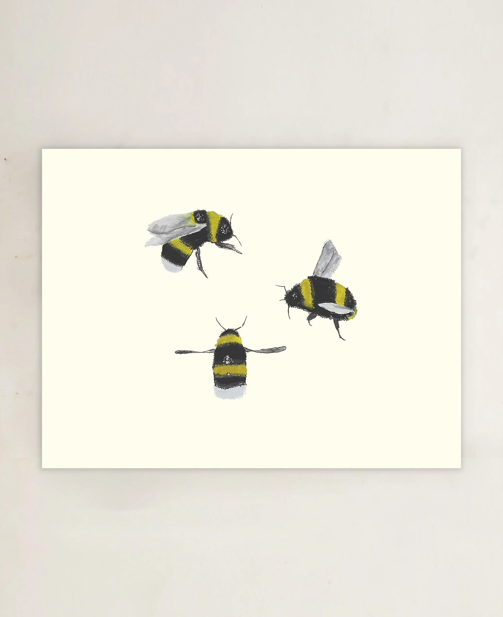 Buzzy Folded Card Set