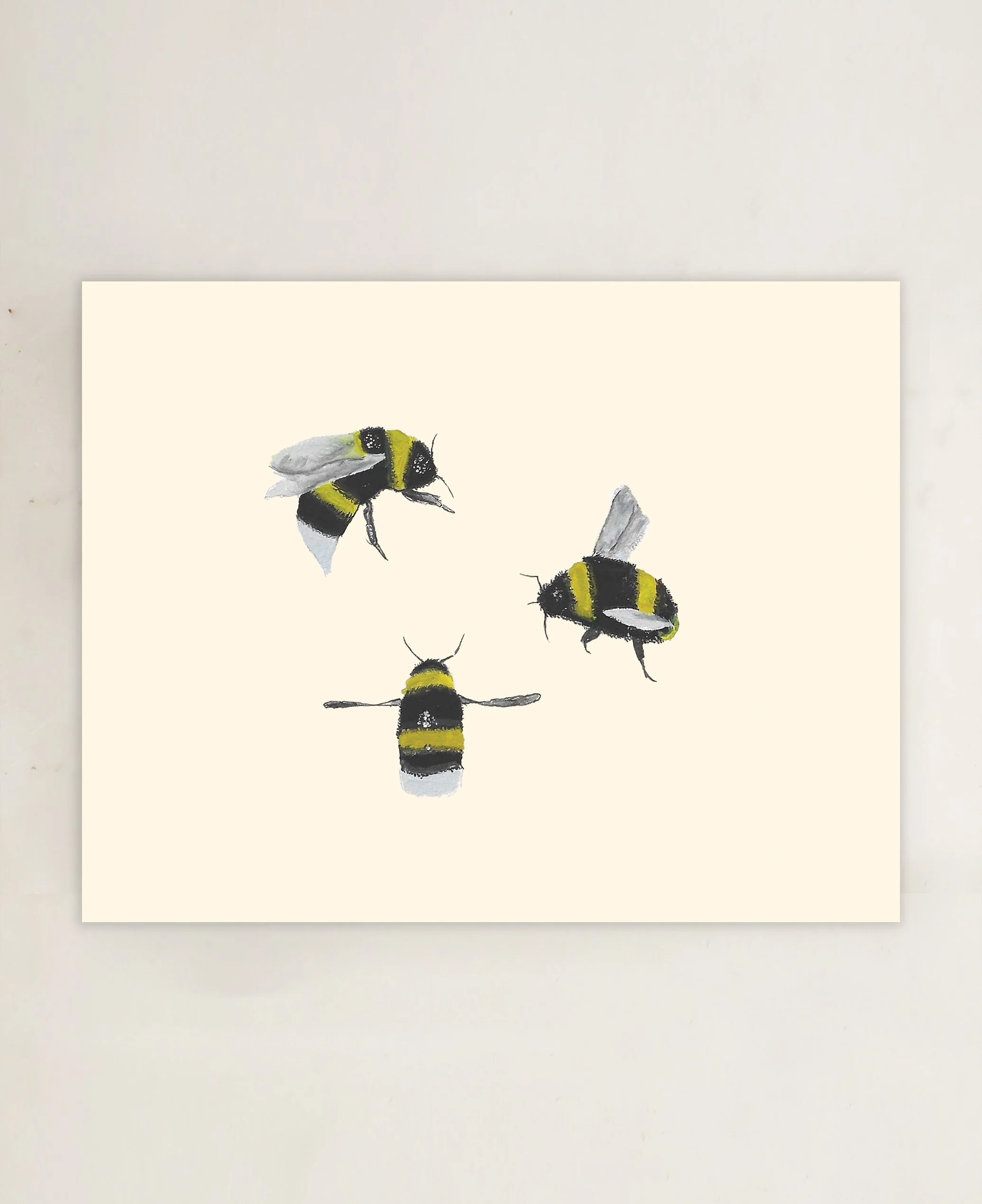 Buzzy Blank Card