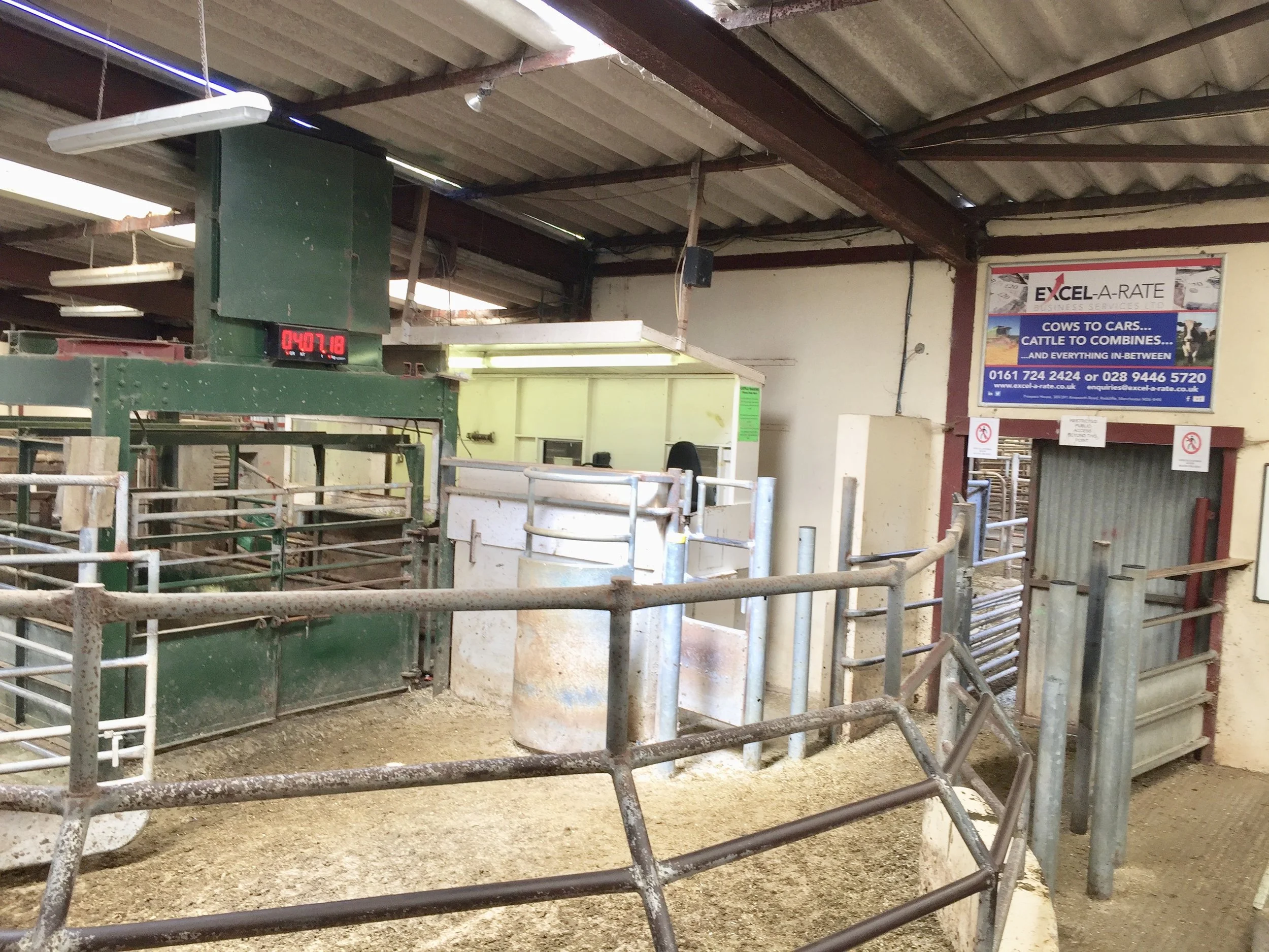 Saintfield Livestock Market Advertising