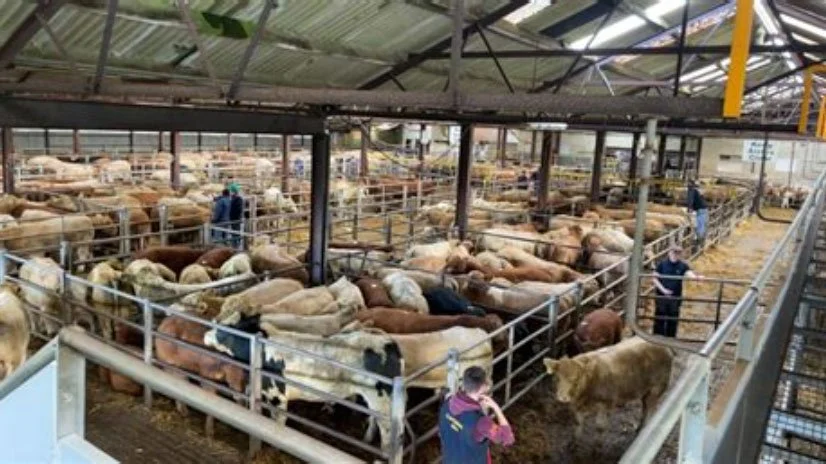 Pomeroy Livestock Market Advertising