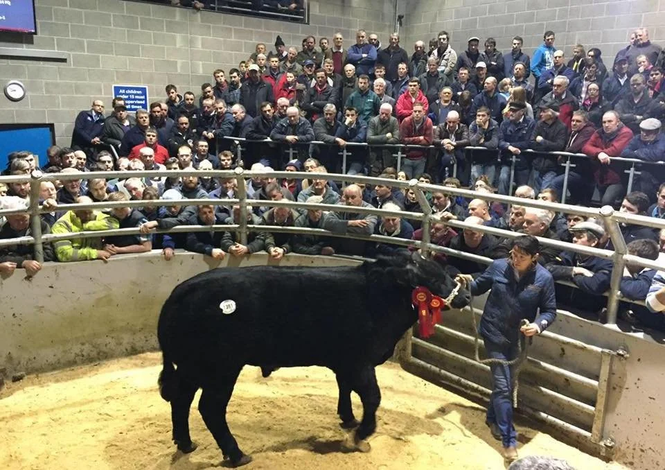 Markethill Livestock Market Advertising