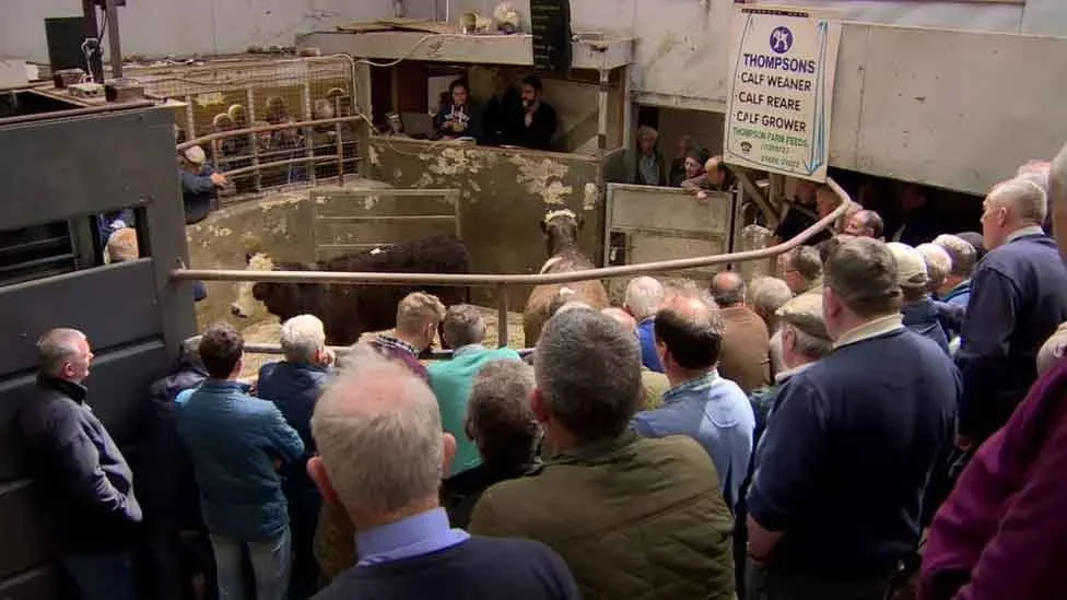 Lisnaskea Livestock Market Advertising