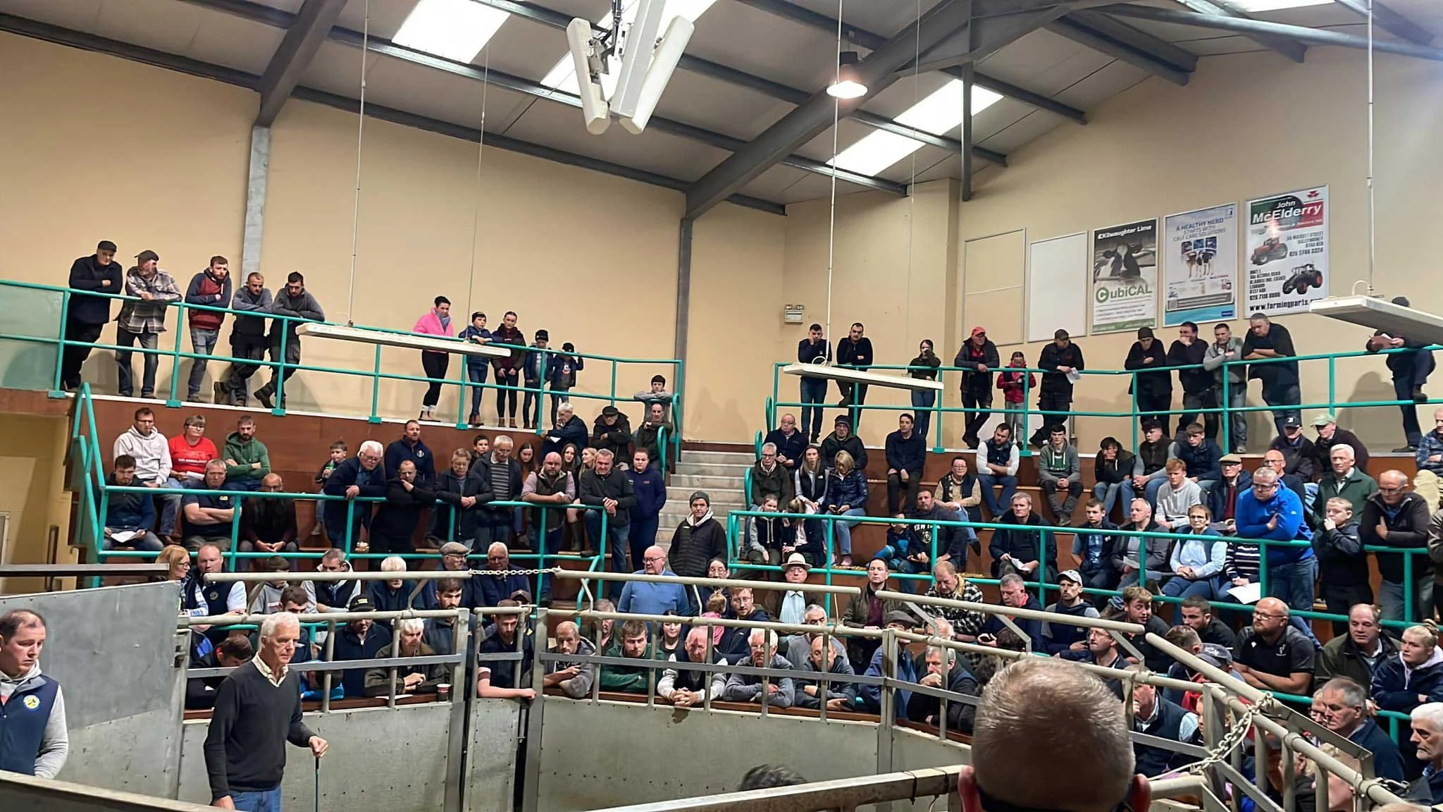 Ballymena Livestock Market Advertising