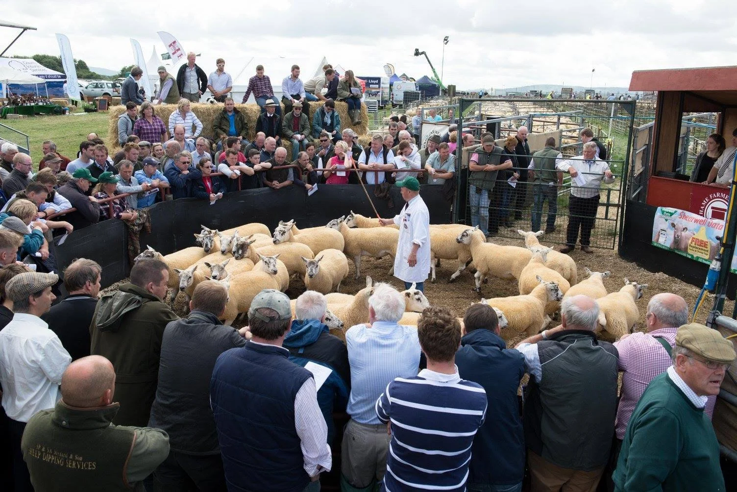 Thame Livestock Market Advertising