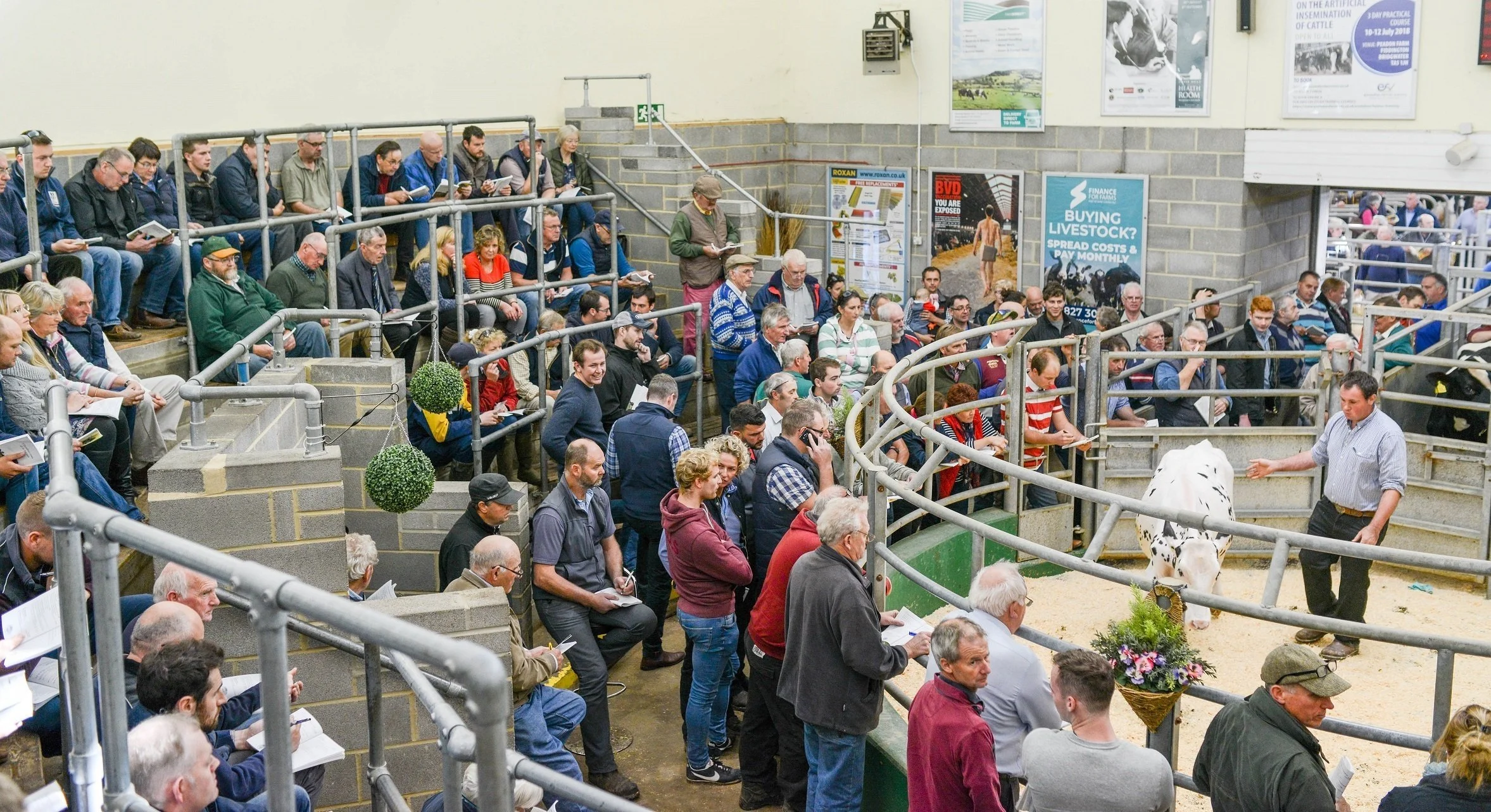 Sedgemoor Livestock Market Advertising