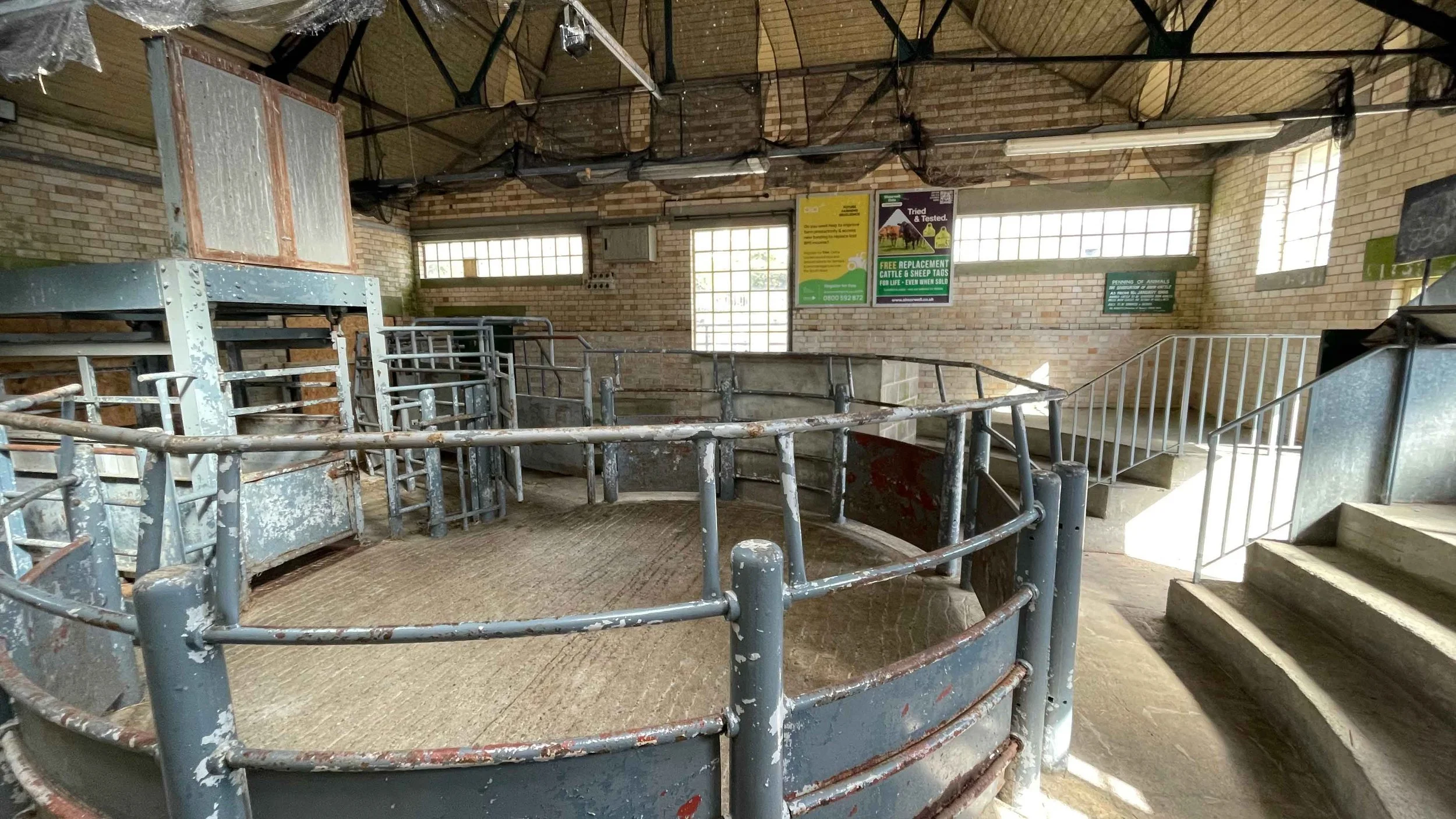 Newton Abbot Livestock Market Advertising