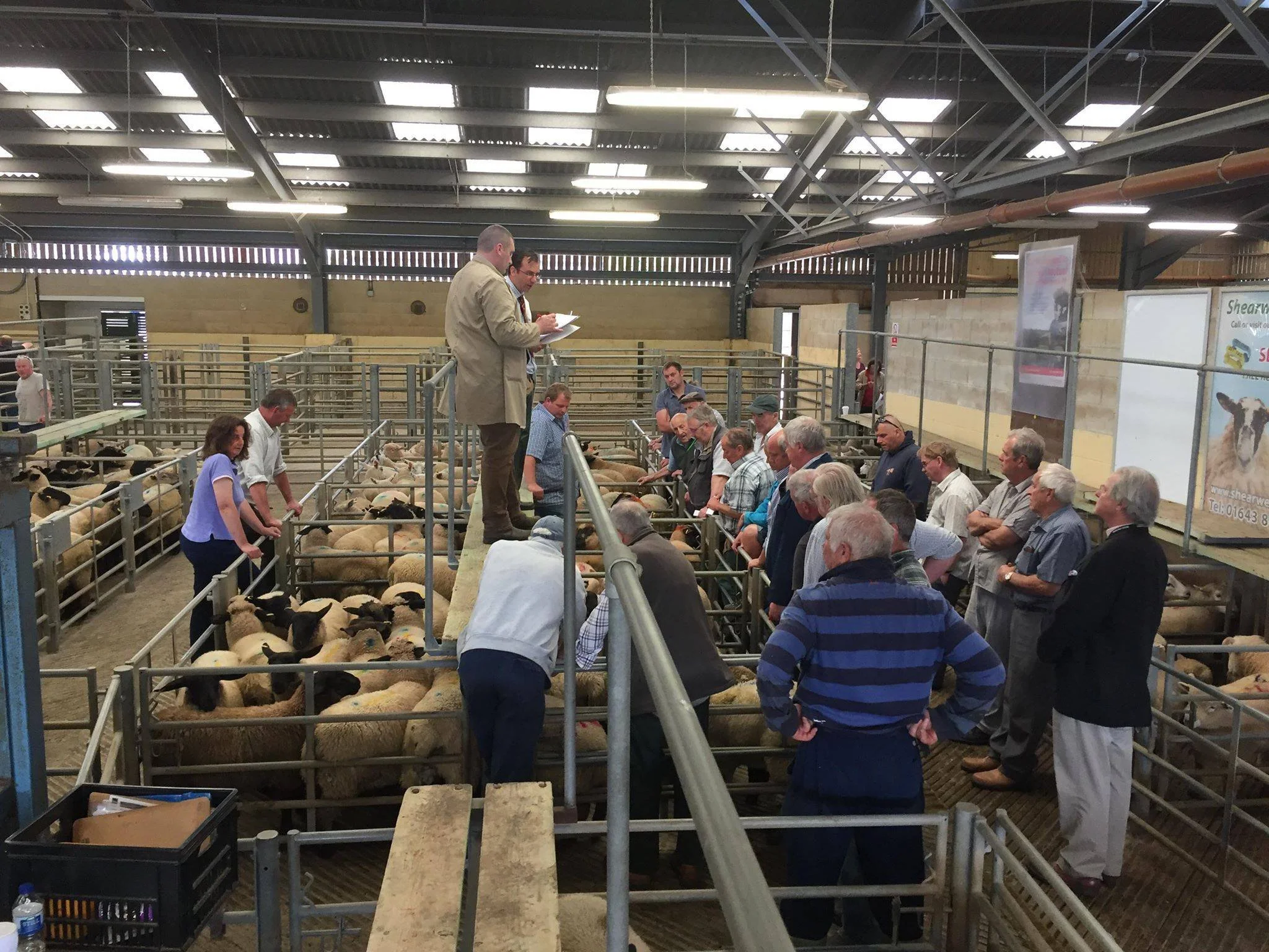 Frome Livestock Market Advertising