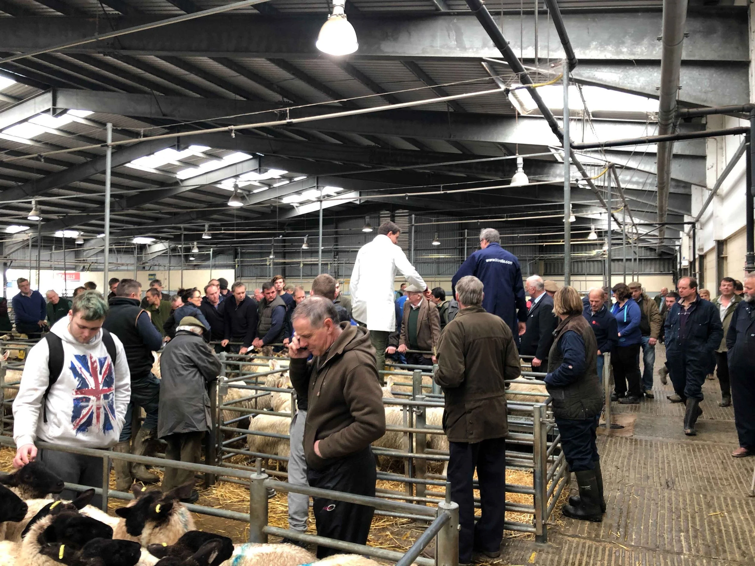 Exeter Livestock Market Advertising