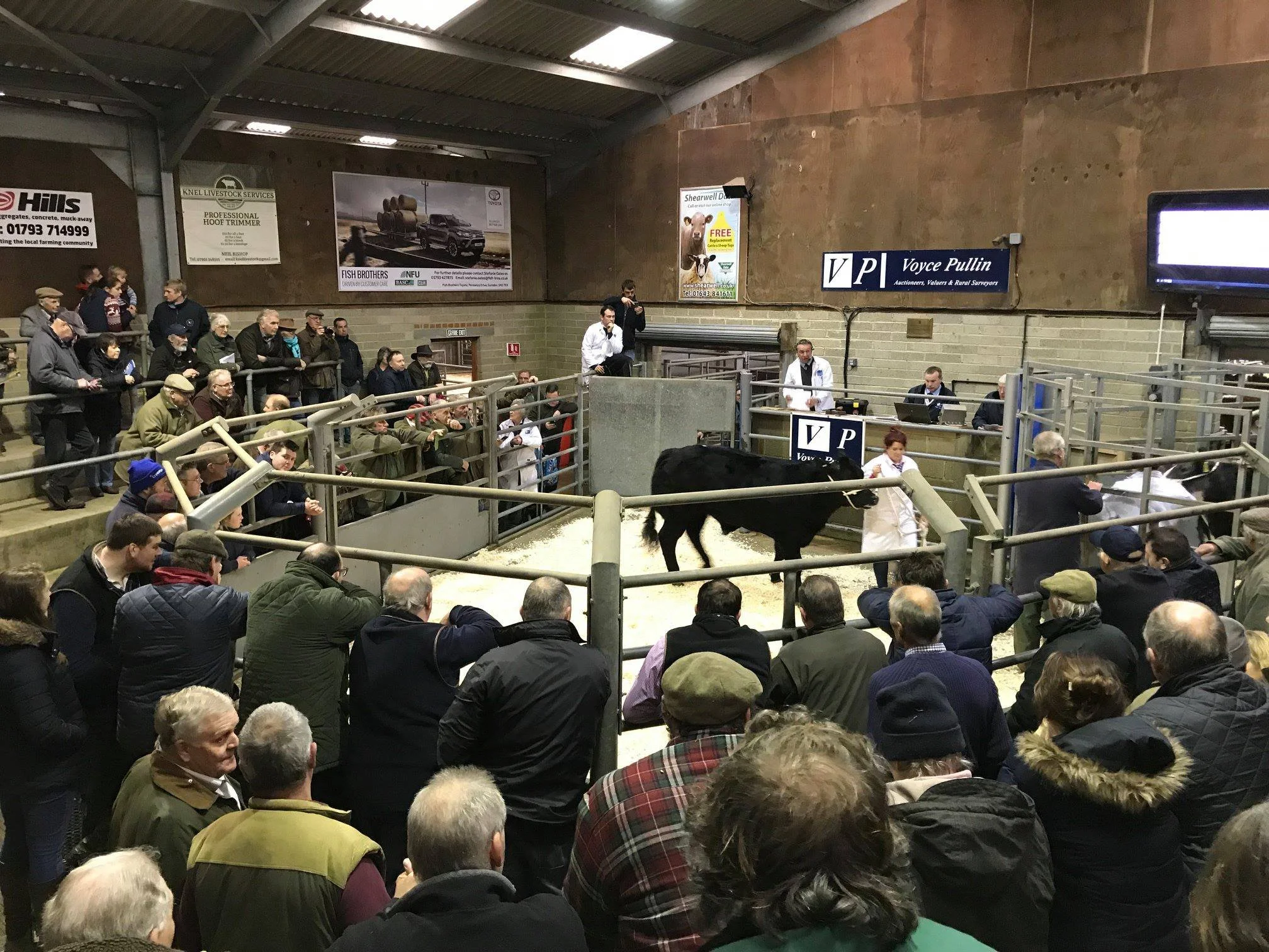 Cirencester Livestock Market Advertising