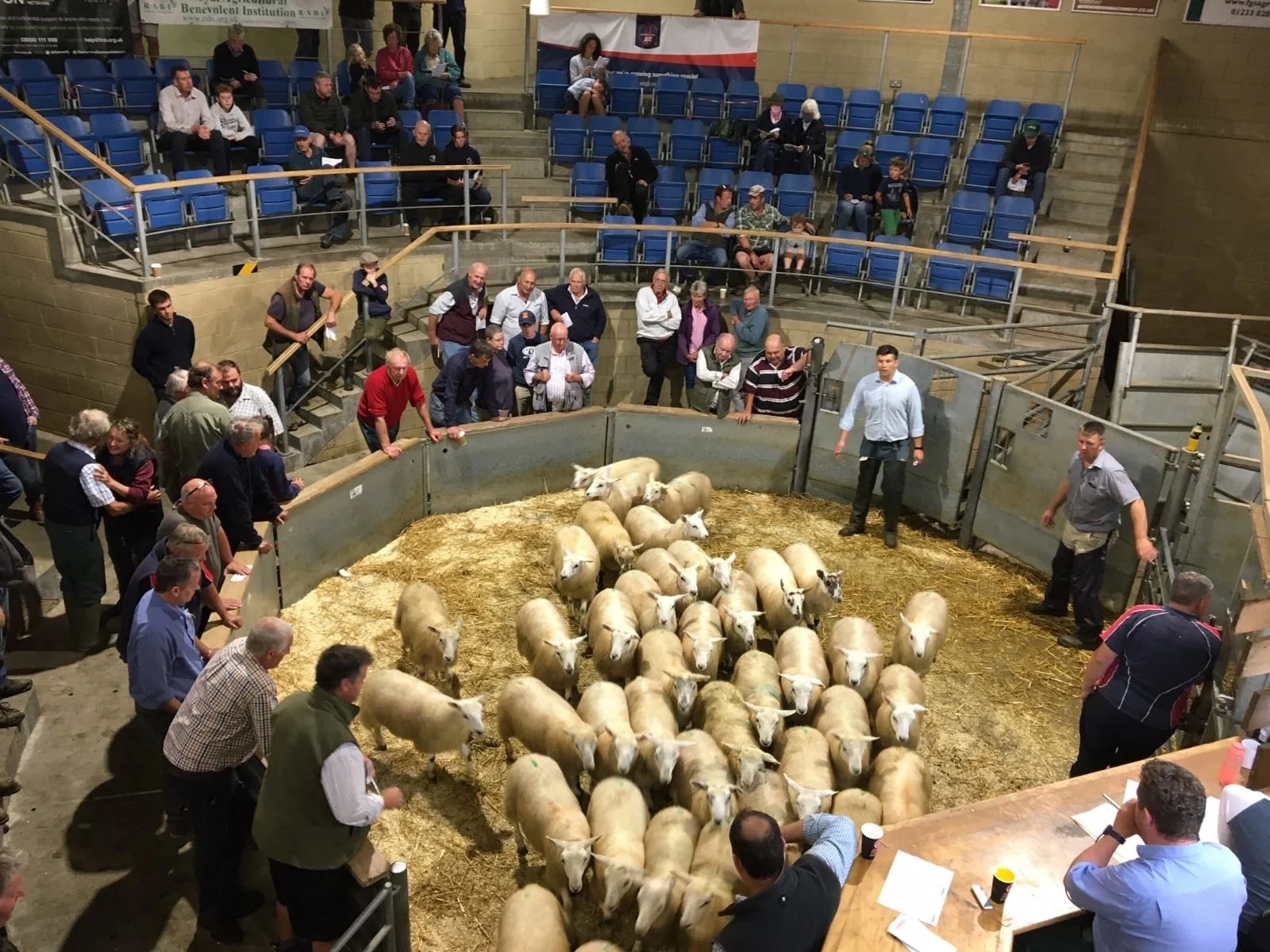 Ashford Livestock Market Advertising