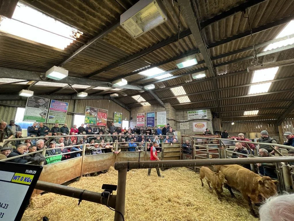 Whitland Livestock Market Advertising