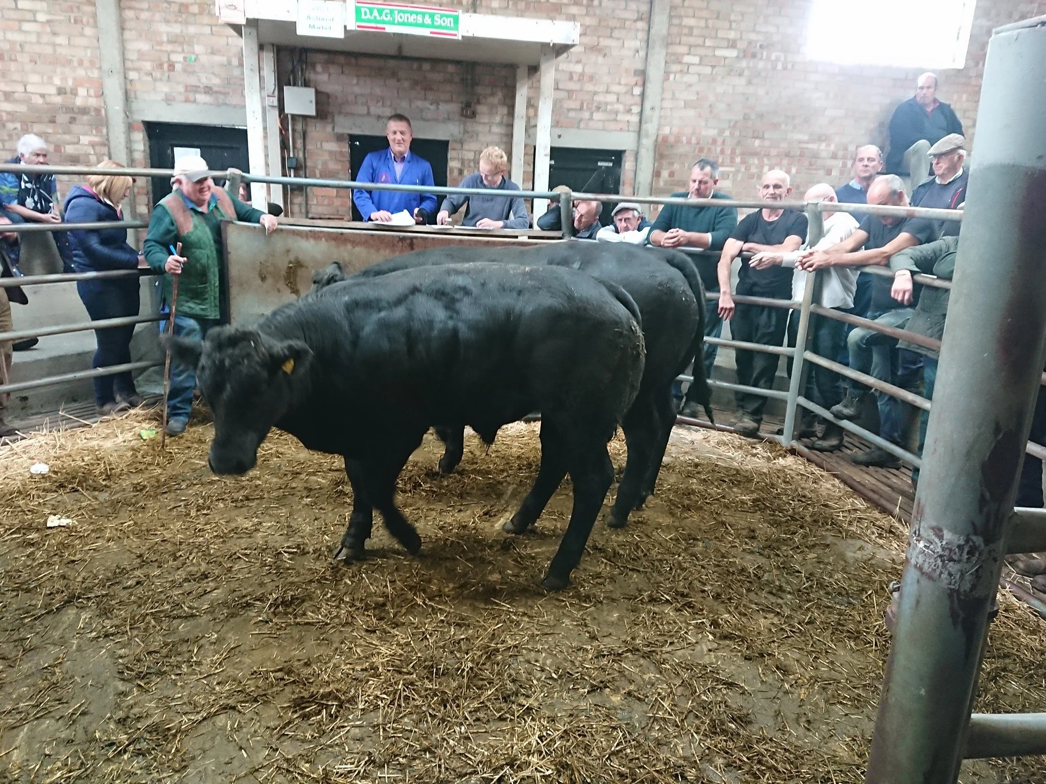 Tregaron Livestock Market Advertising