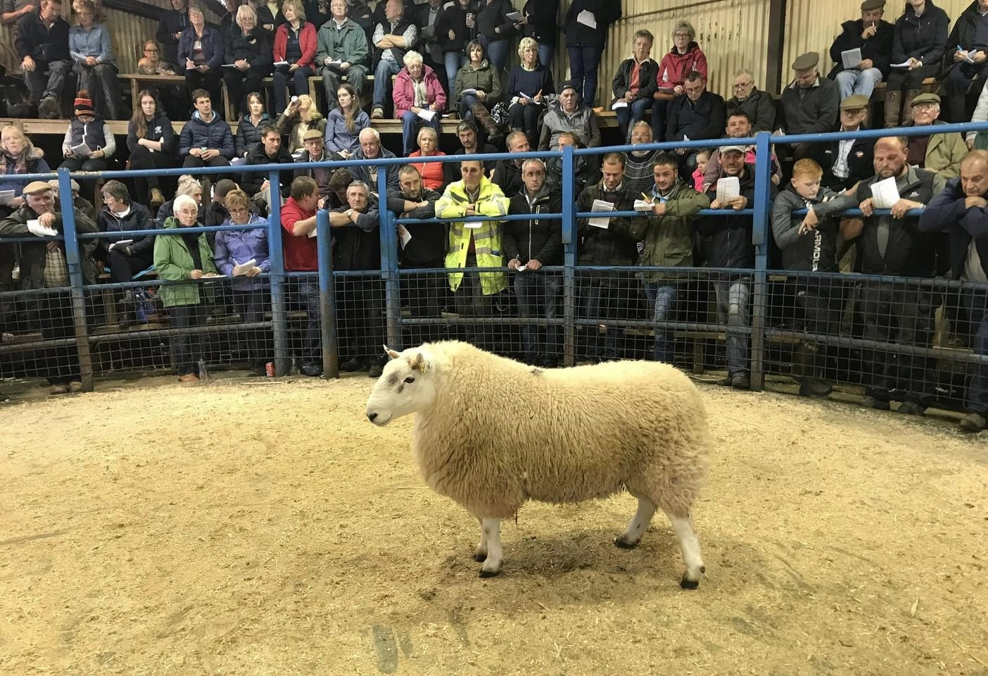 Sennybridge Livestock Market Advertising