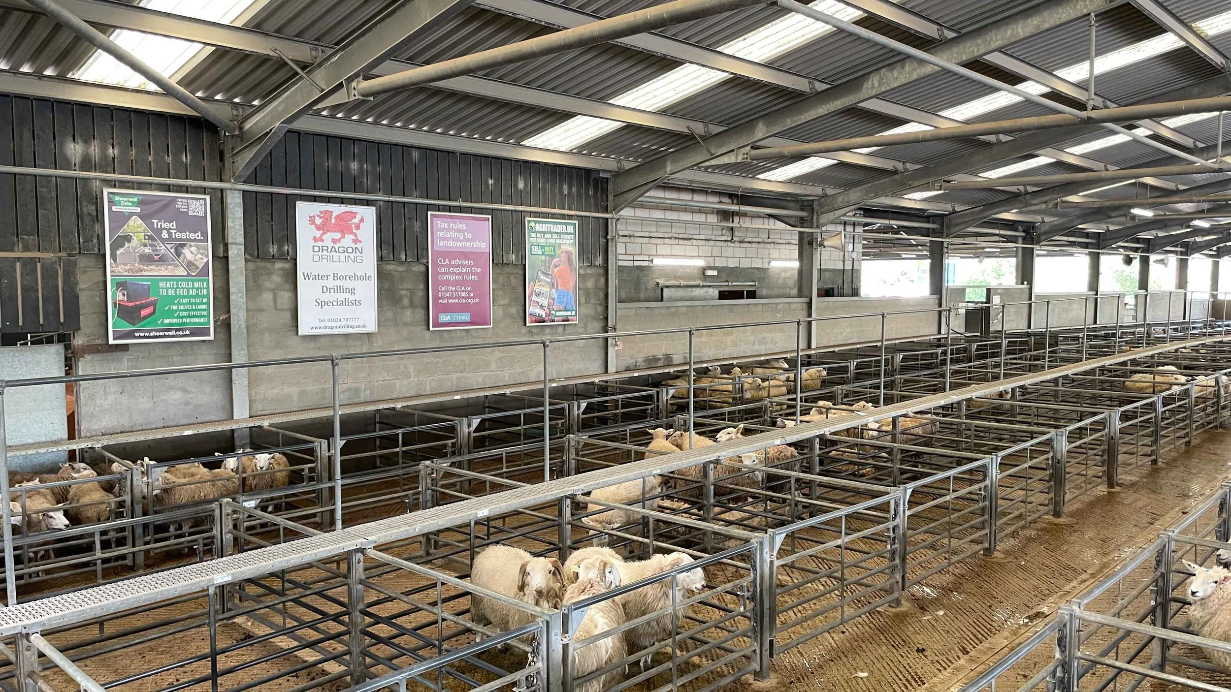 Ruthin Livestock Market Advertising