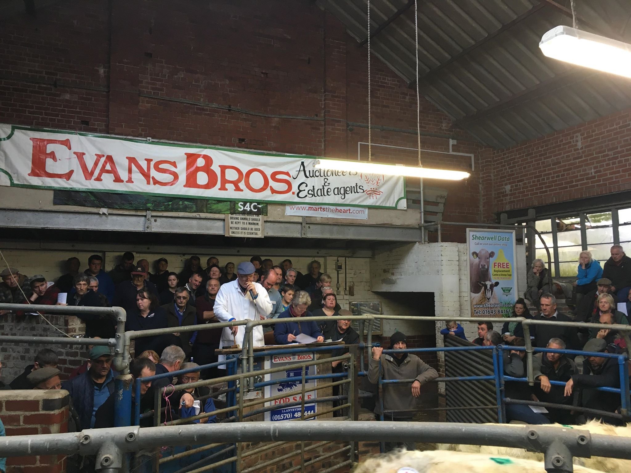 LLanybydder Livestock Market Advertising