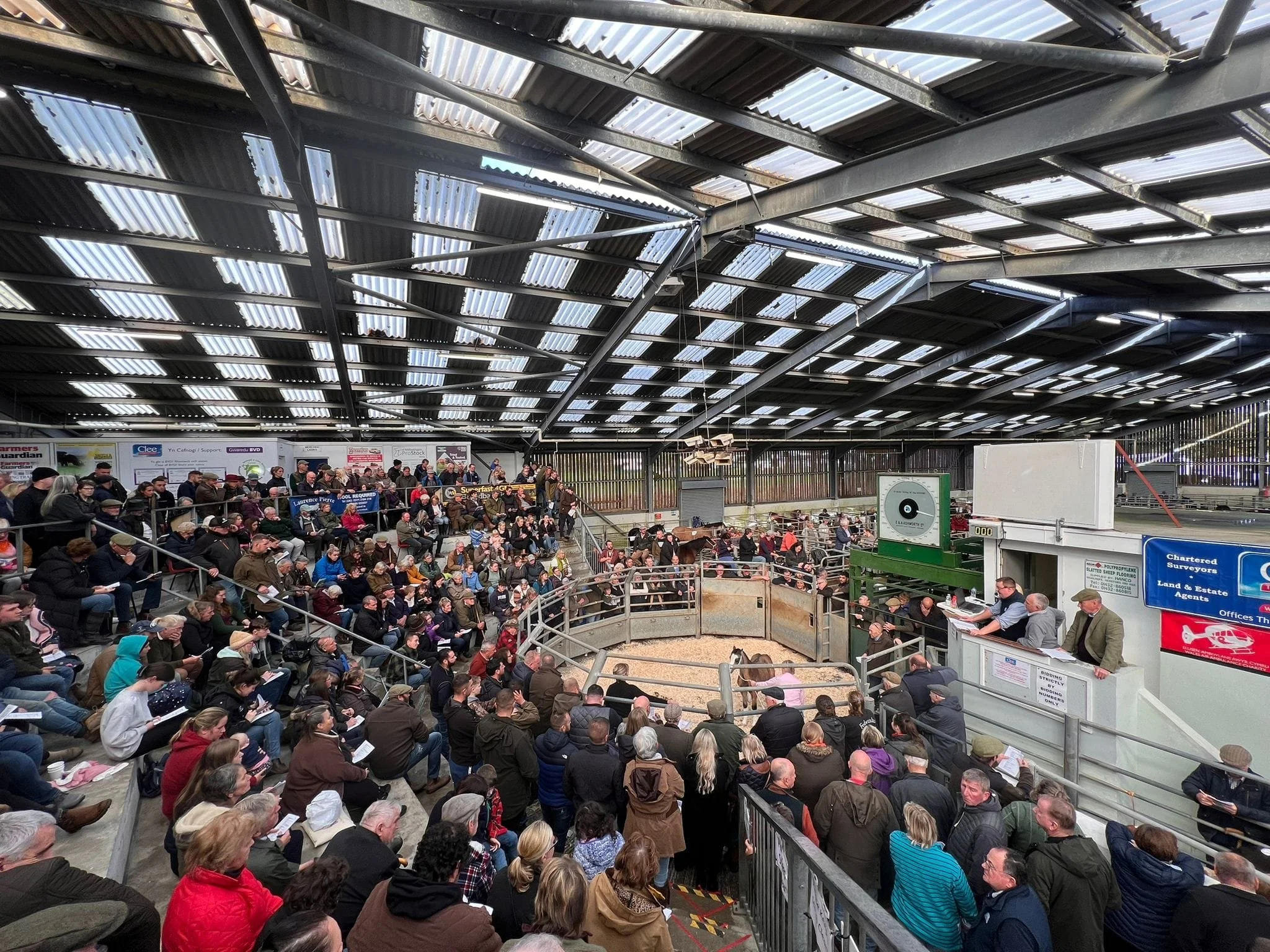 Llandovery Livestock Market Advertising