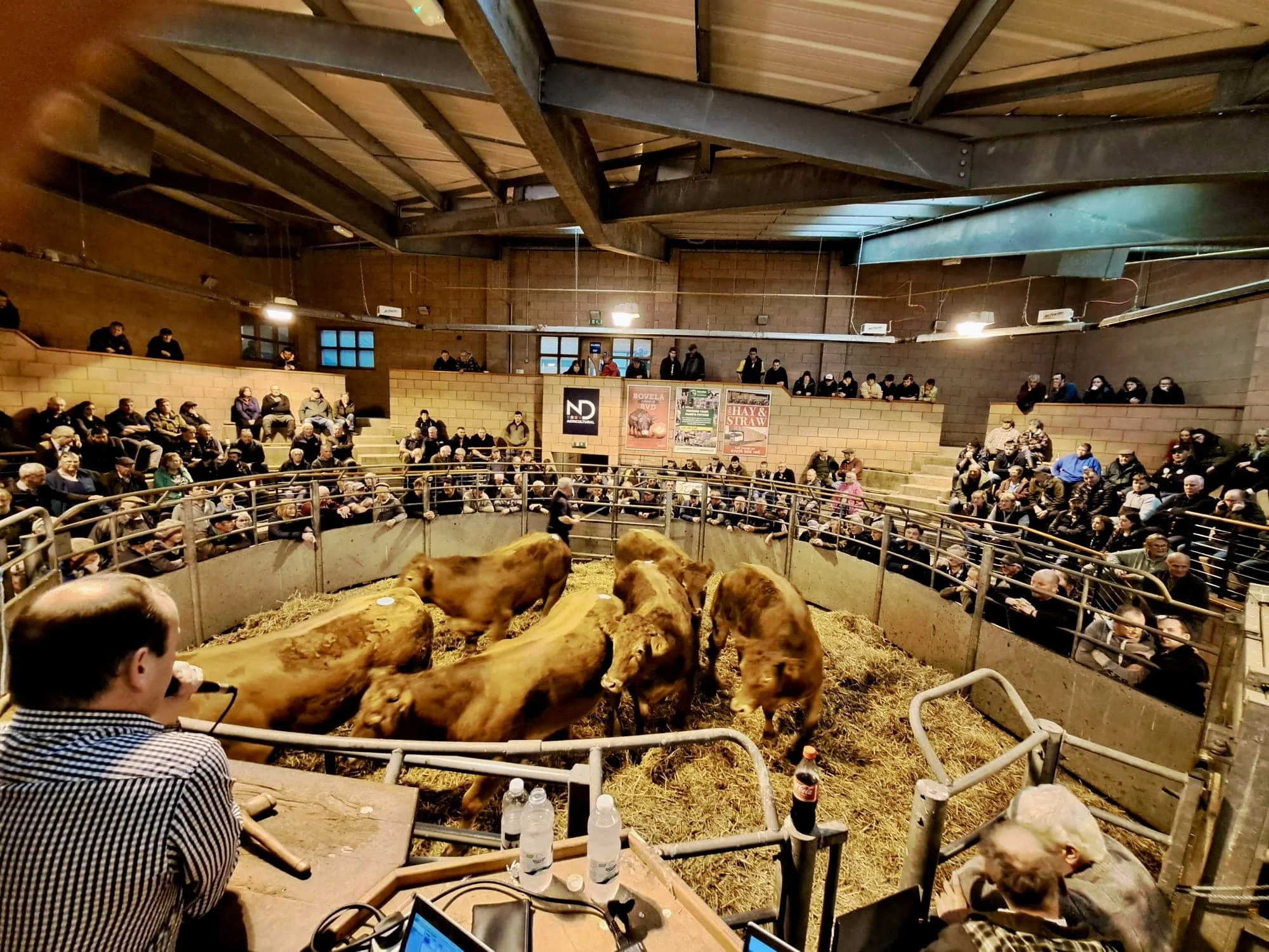 Carmarthen Livestock Market Advertising